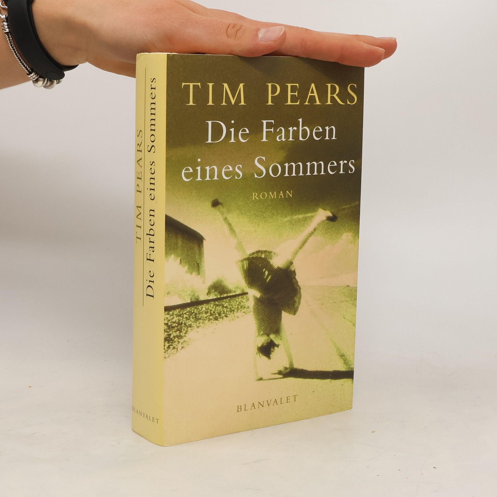 Tim Pears Die Farben eines Sommers