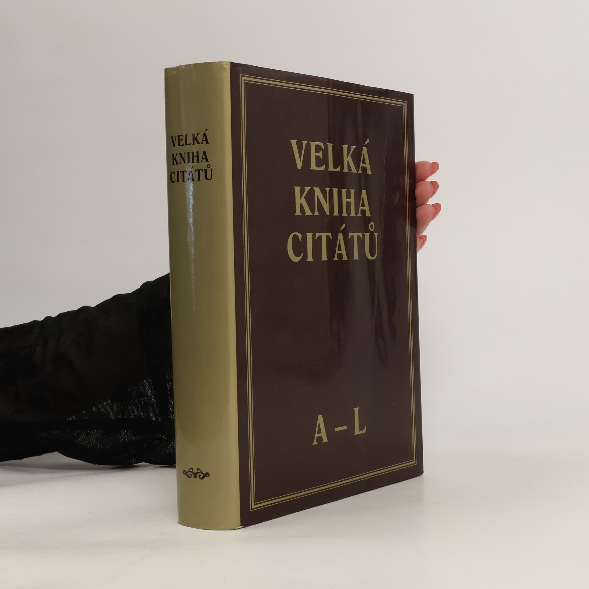 Martin Valášek Velká kniha citátů A-L