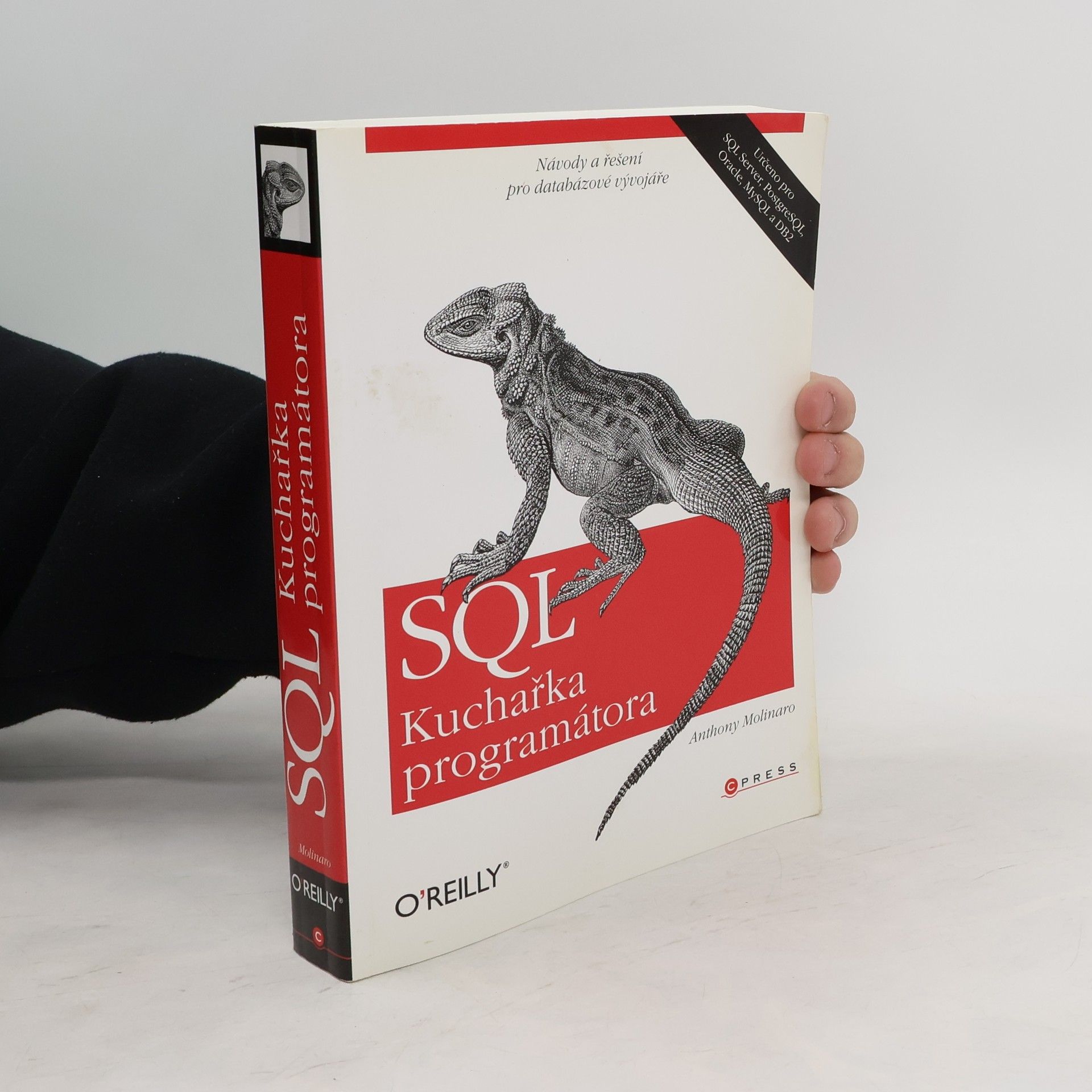 Anthony Molinaro SQL. Kuchařka programátora