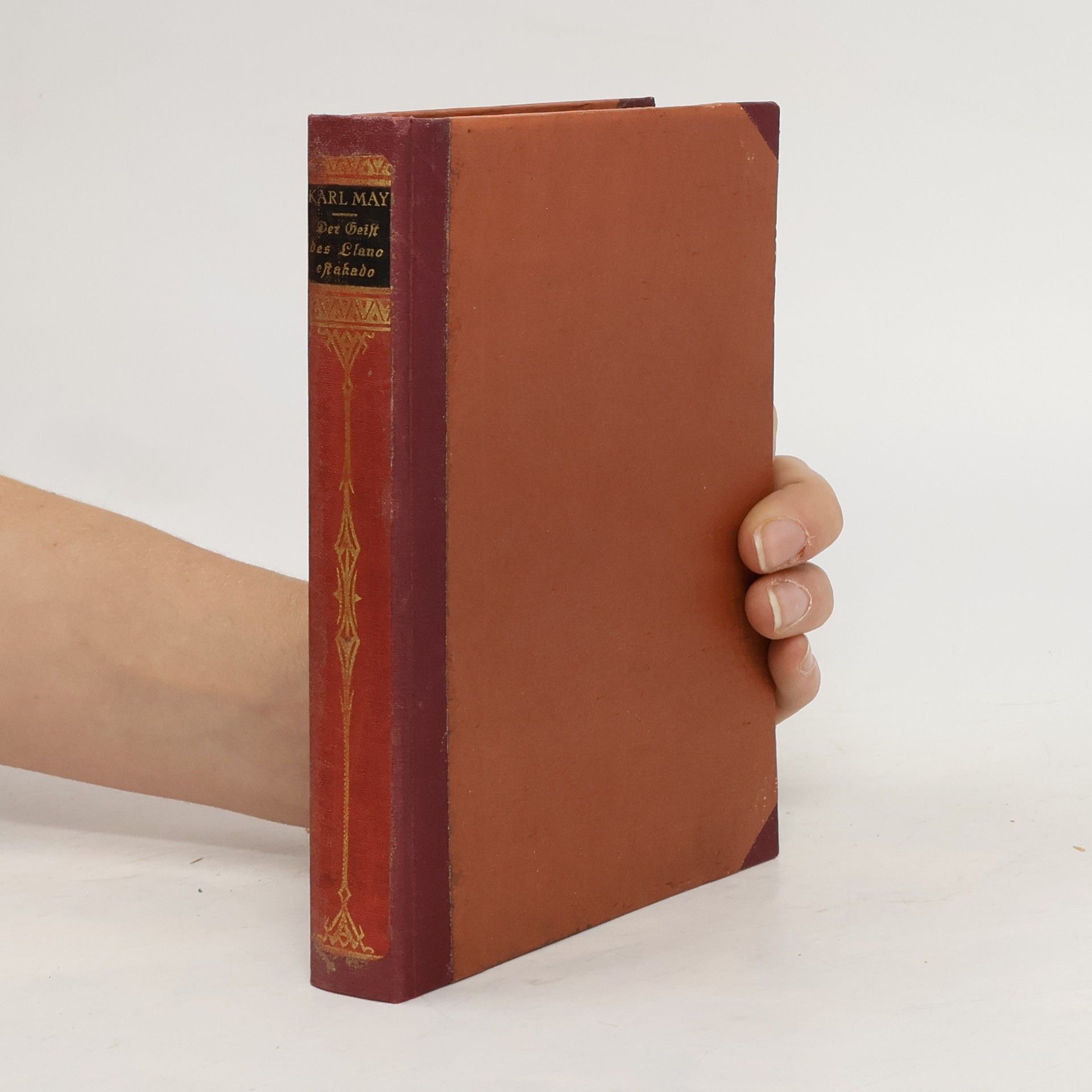 Karl May Der Geist des Llano estakado
