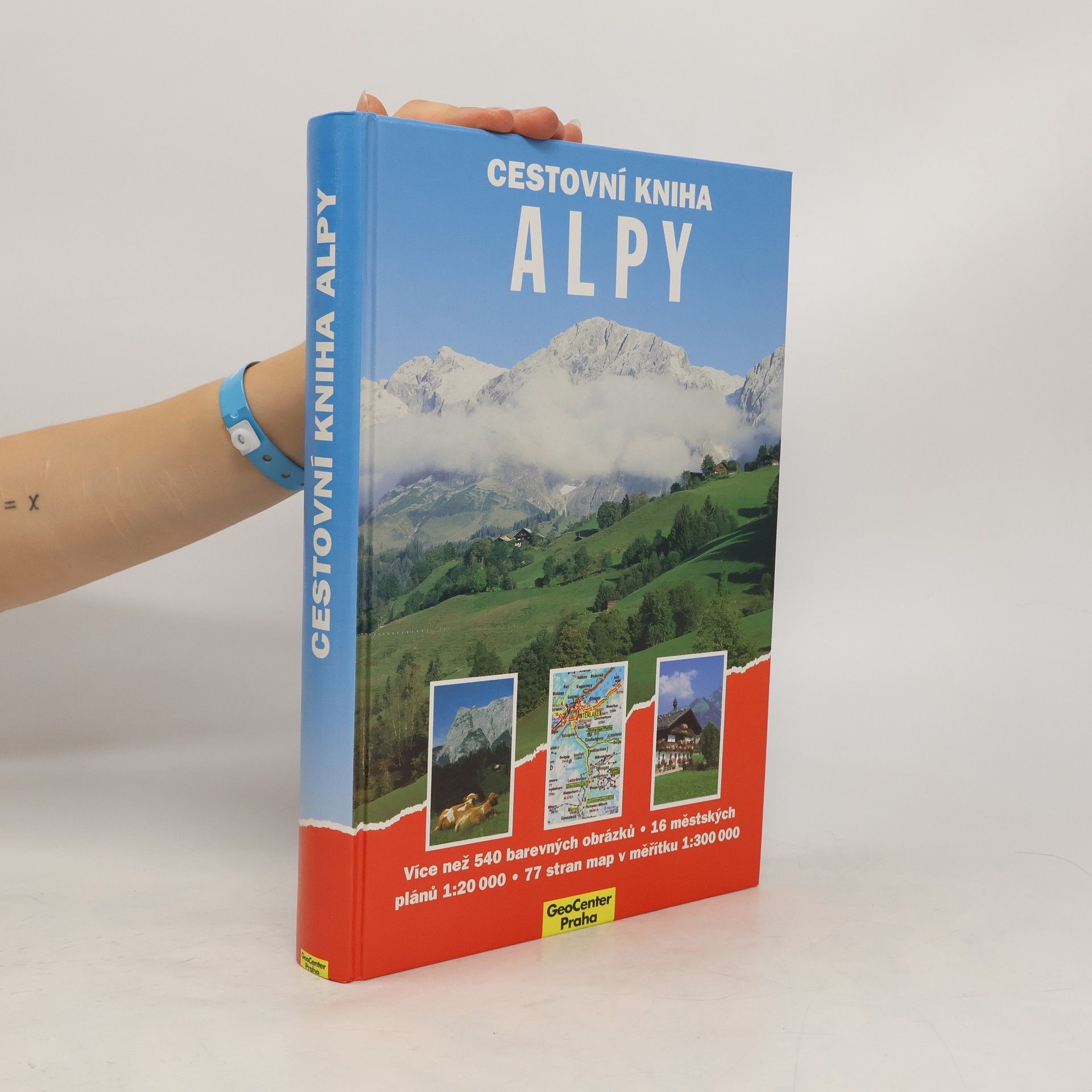 Dieter Maier Cestovní kniha : Alpy