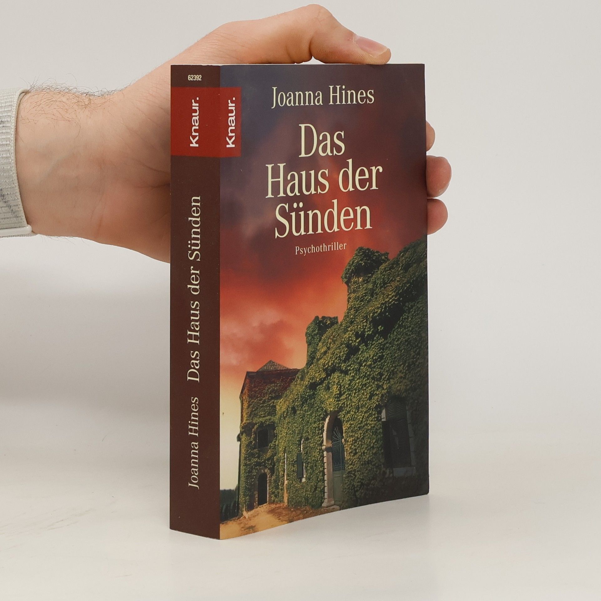 Joanna Hines Das Haus der Sünden