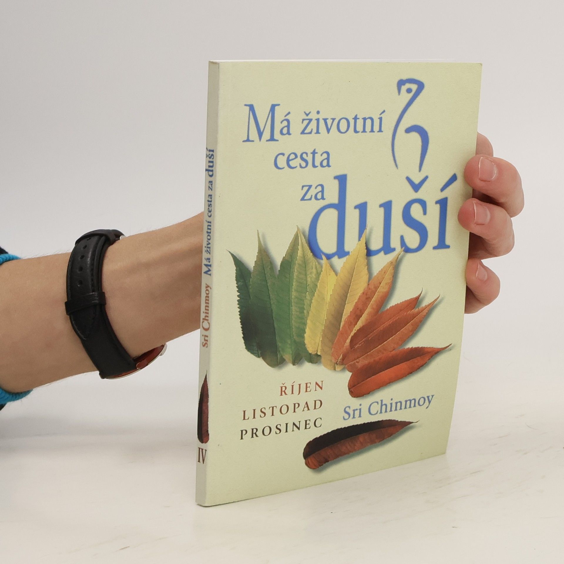 Sri Chinmoy Má životní cesta za duší. Díl 4. Říjen-Prosinec