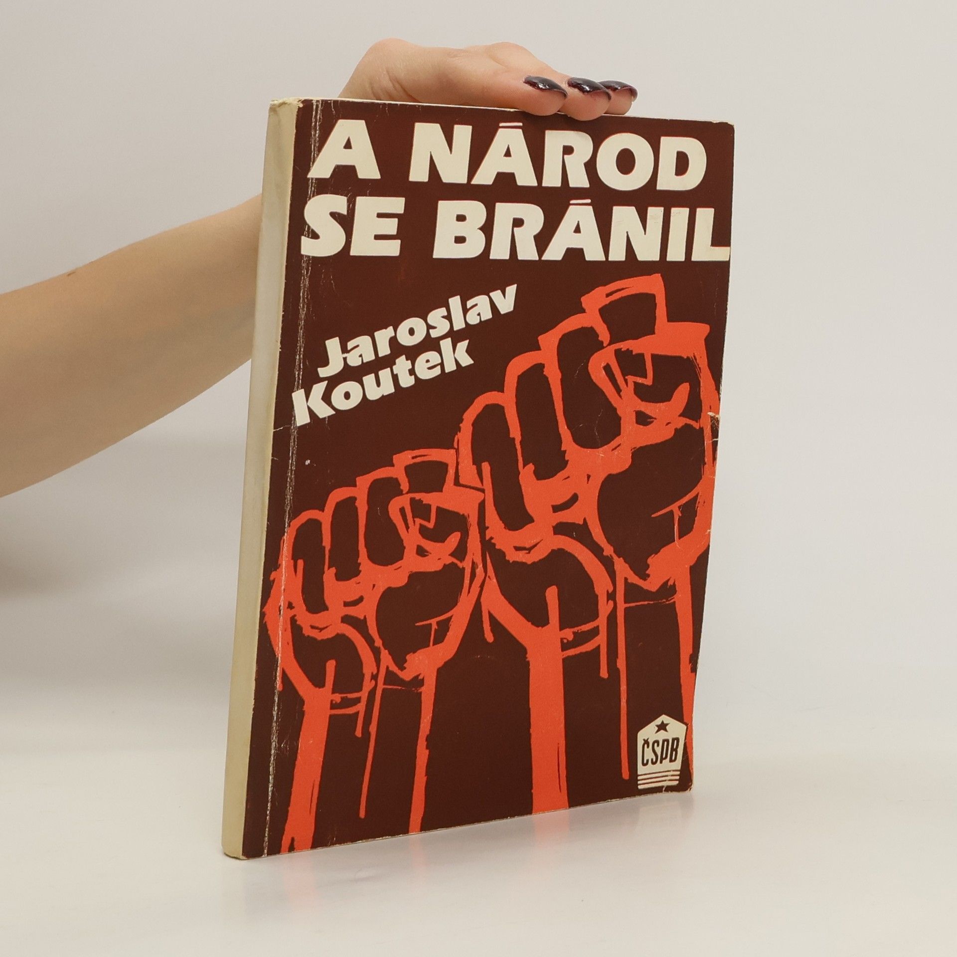 Jaroslav Koutek A národ se bránil