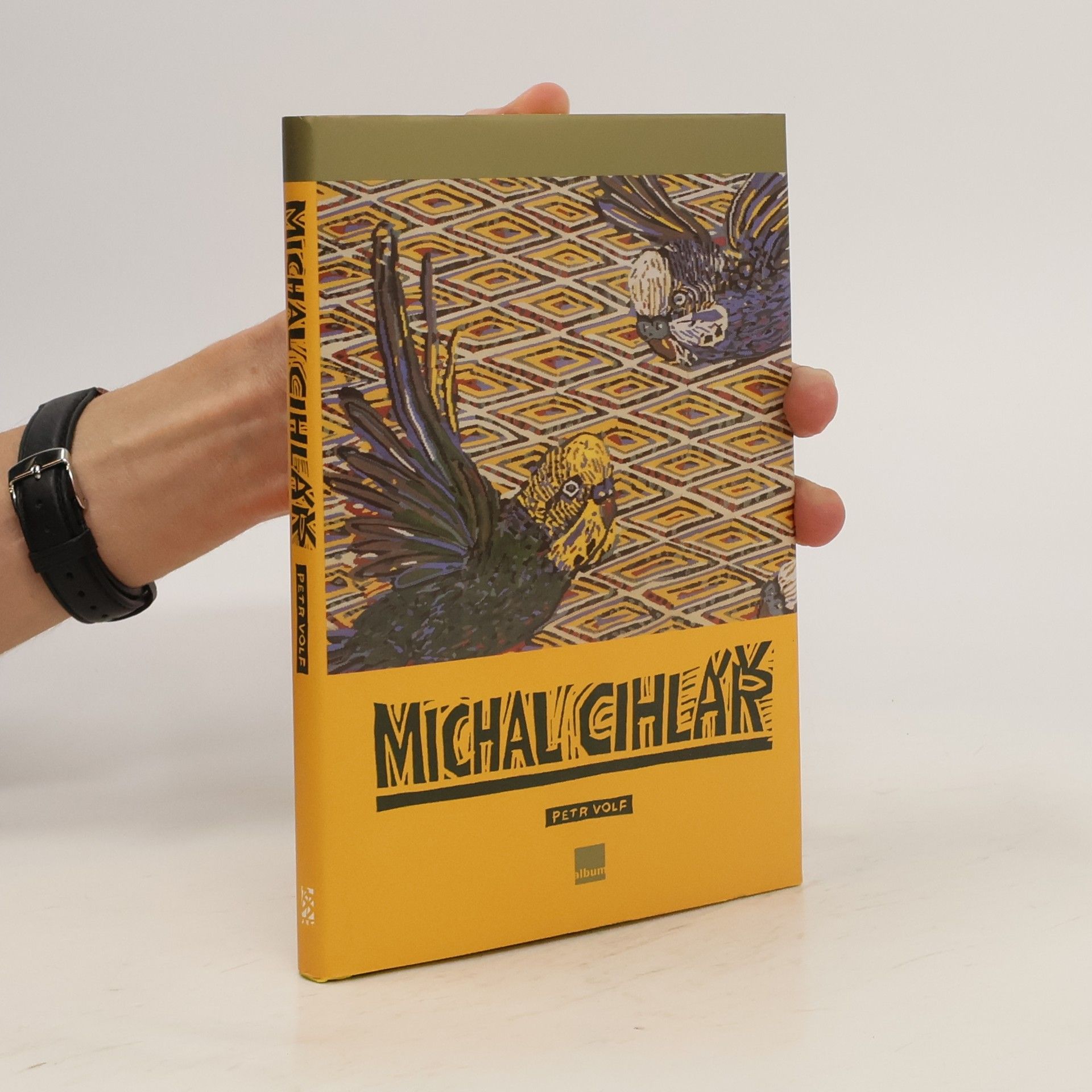 Petr Volf Michal Cihlář. Práce z let 1981-2004
