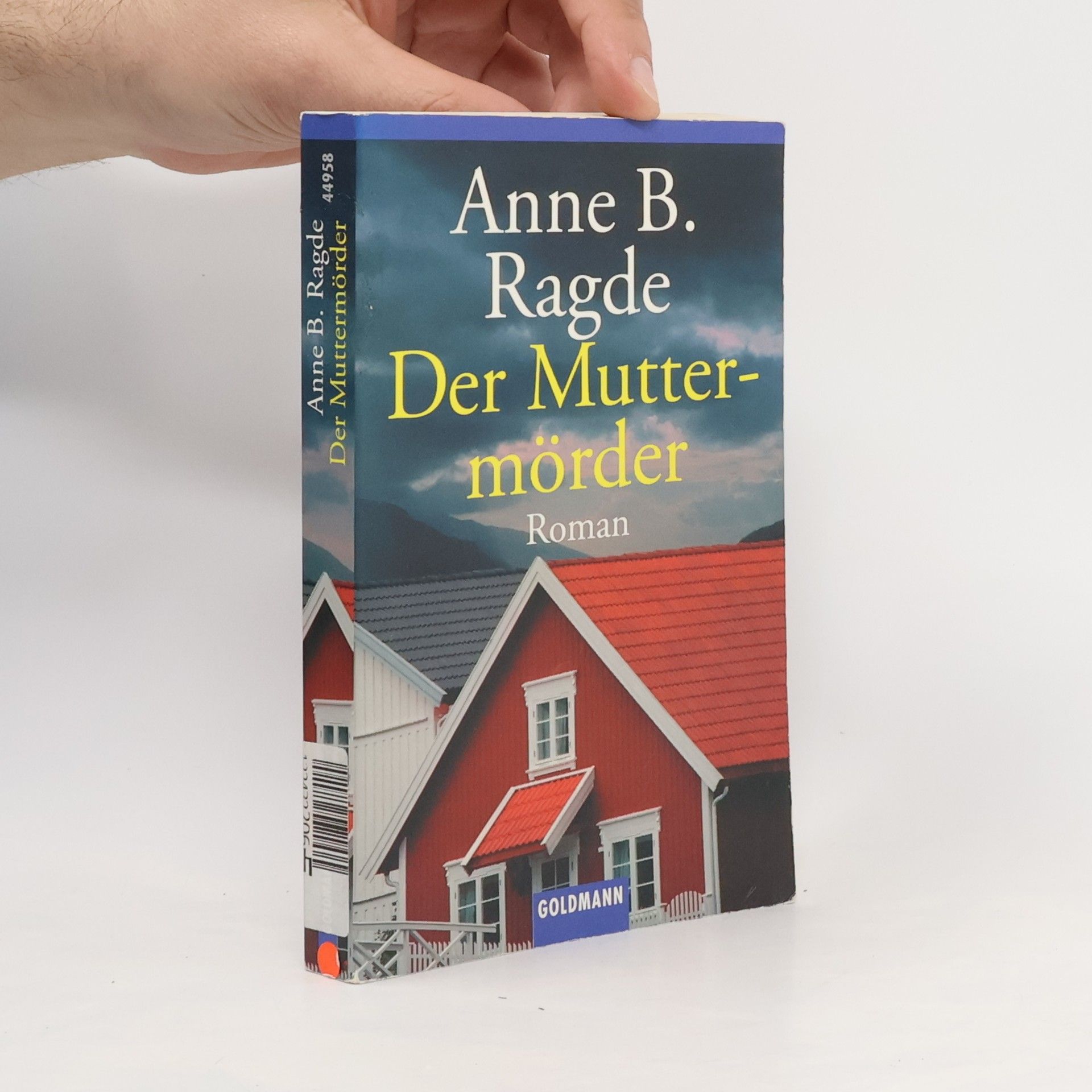 Anne B. Ragde Der Muttermörder. Roman