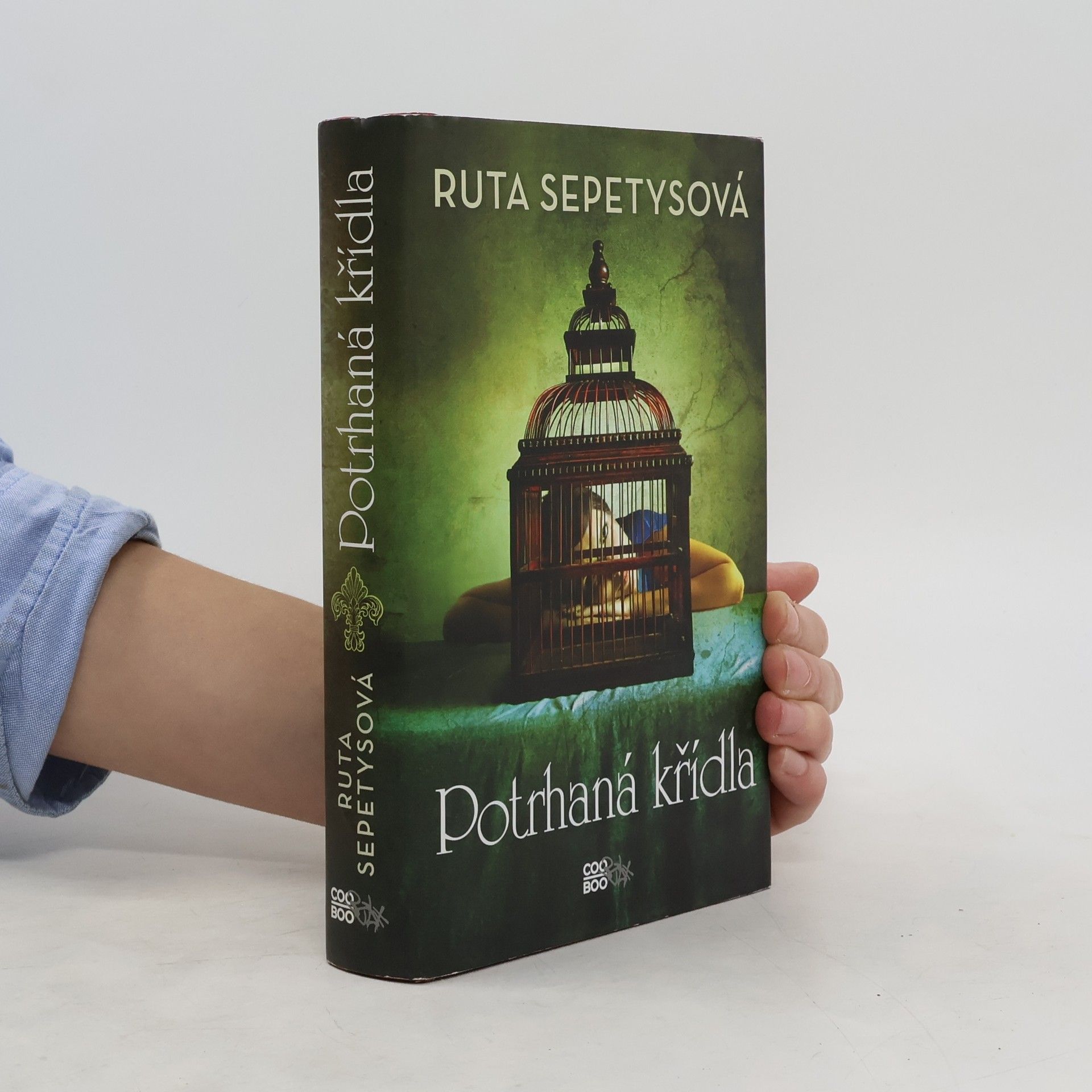 Ruta Sepetys Potrhaná křídla