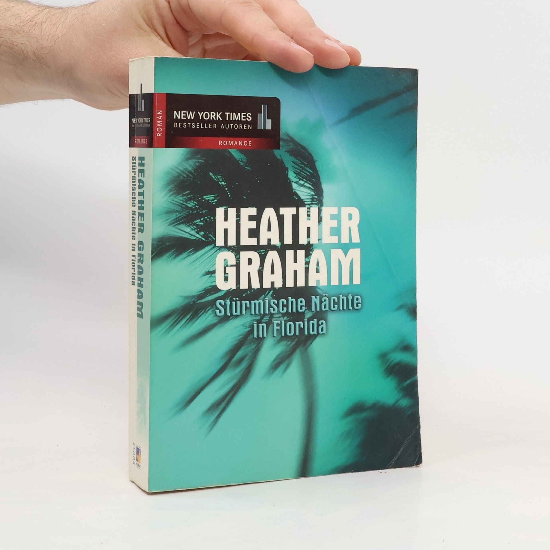 Heather Graham Stürmische Nächte in Florida