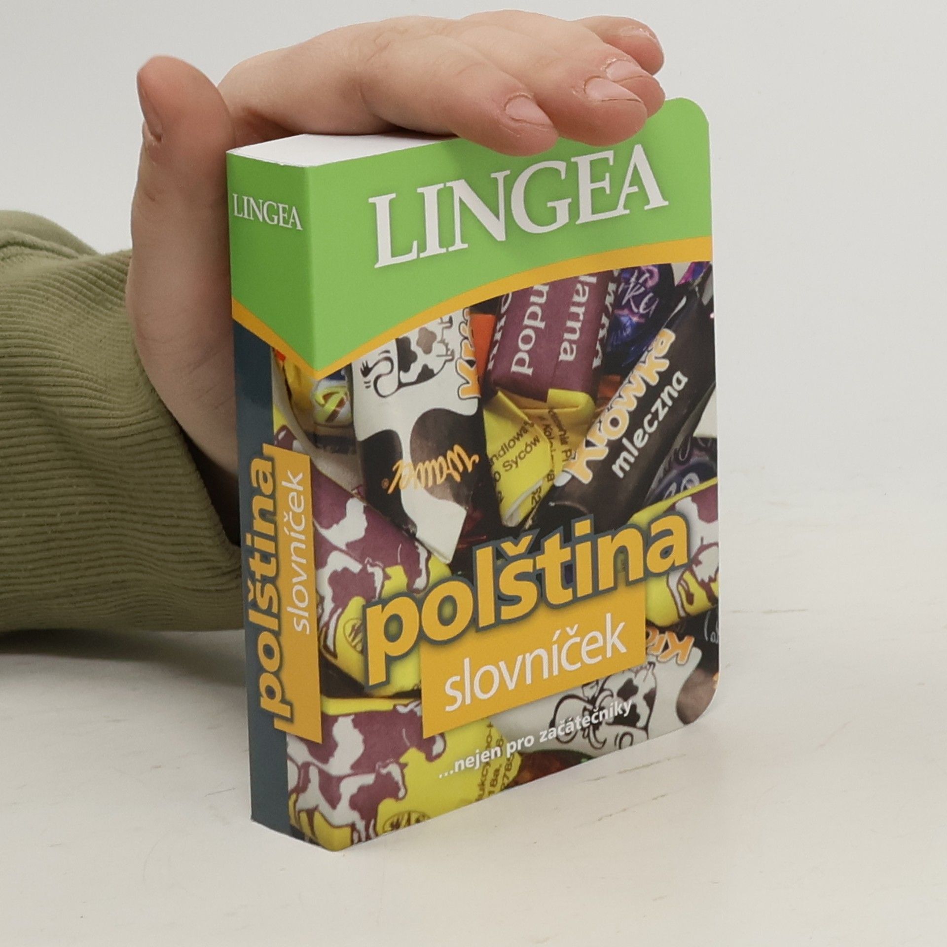 kolektiv Polština: Slovníček