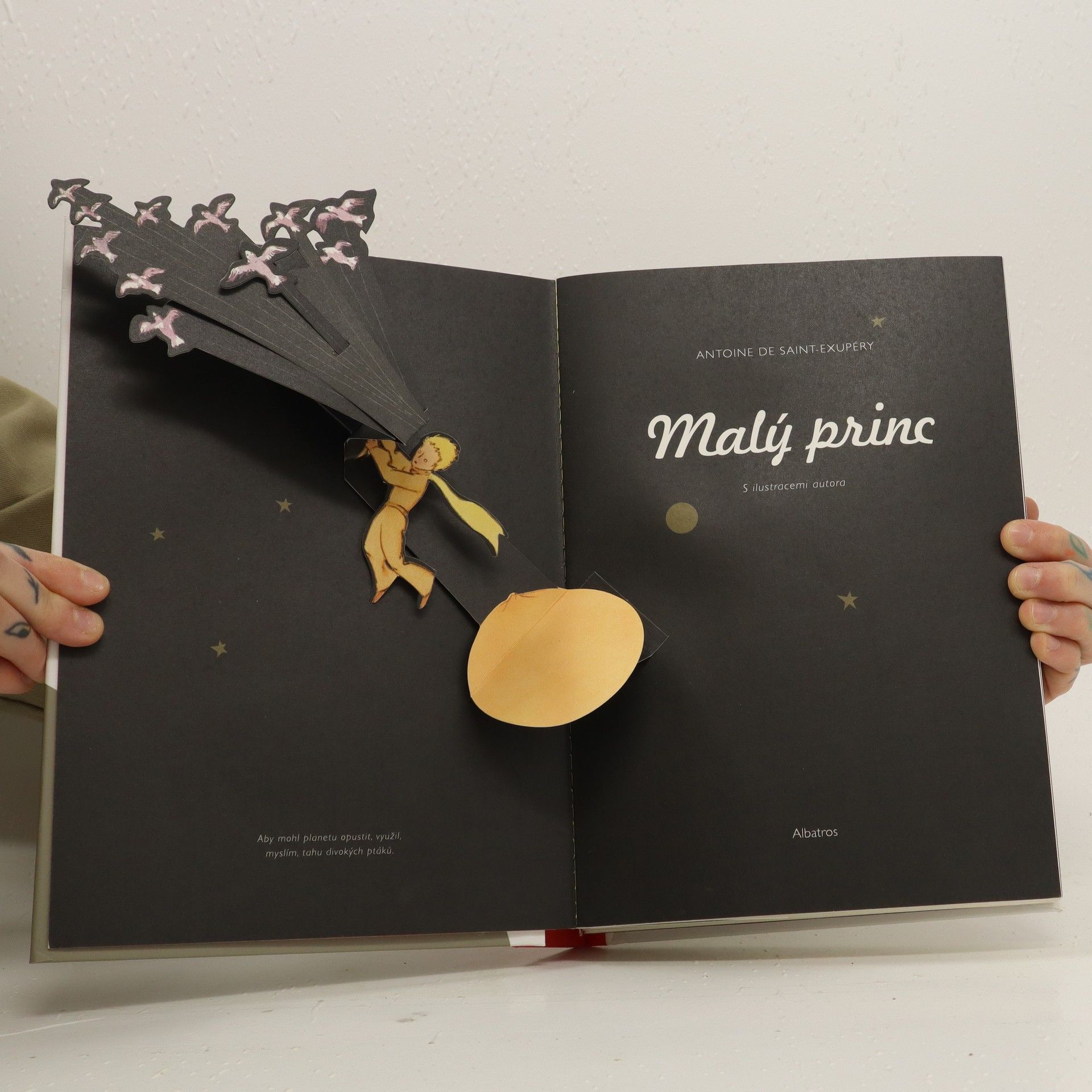 Antoine de Saint-Exupéry Malý princ : malá obrazová kniha (pop-up leporelo)