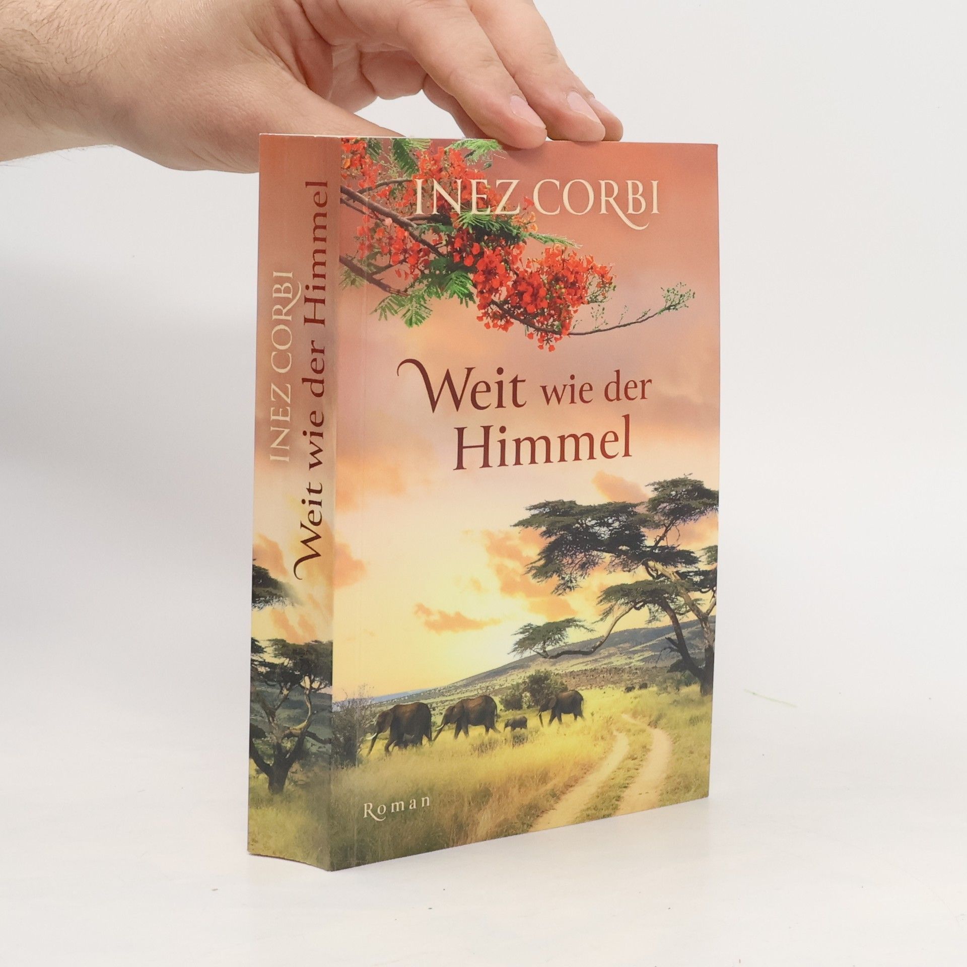 Inez Corbi Weit wie der Himmel