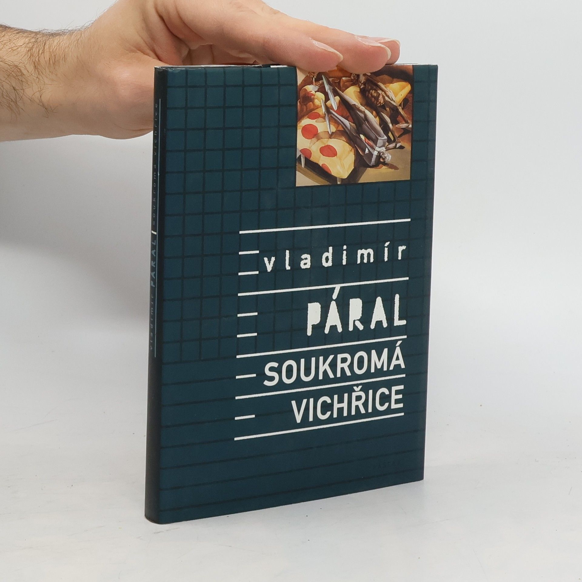 Vladimír Páral Soukromá vichřice