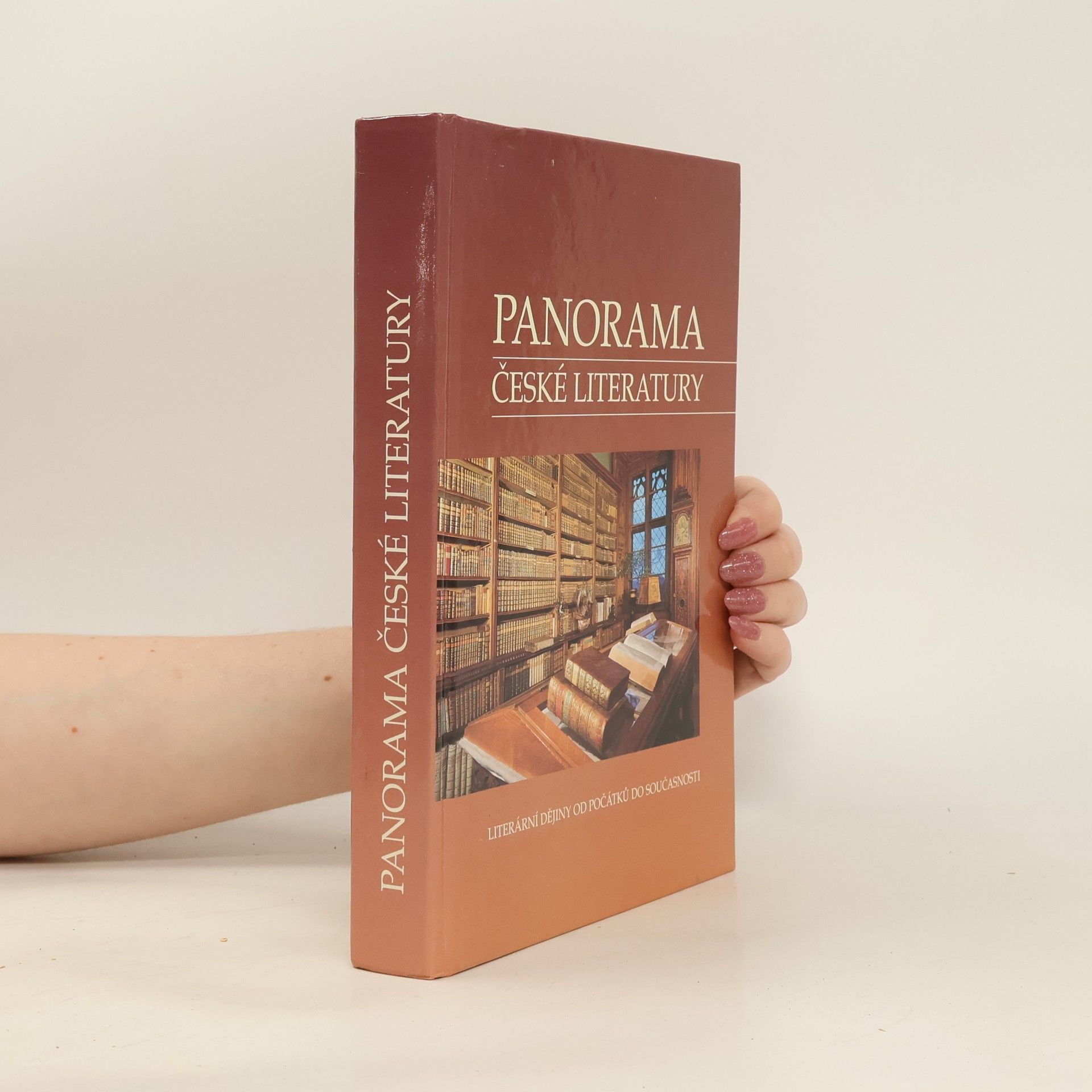 kolektiv Panorama české literatury. Literární dějiny od počátků do současnosti
