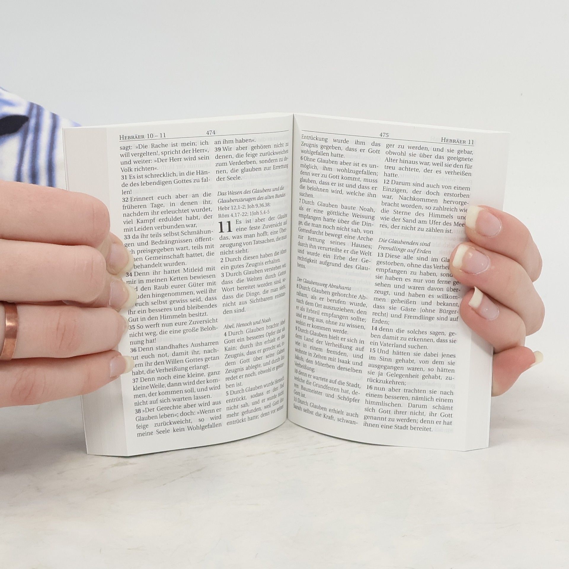 kolektiv Das Neue Testament