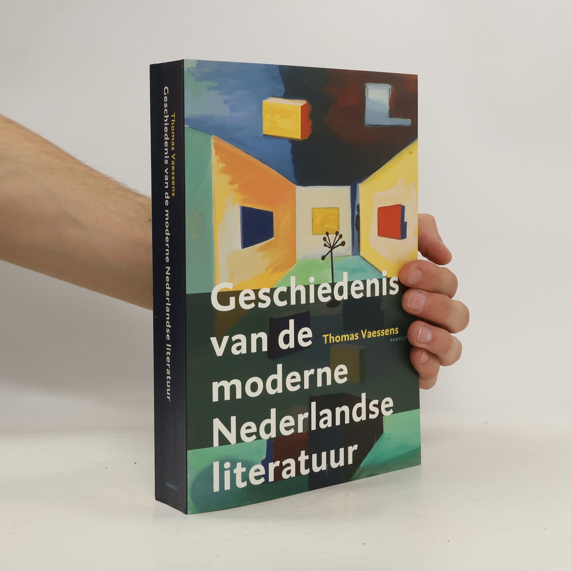 Thomas Vaessens Geschiedenis van de moderne Nederlandse literatuur