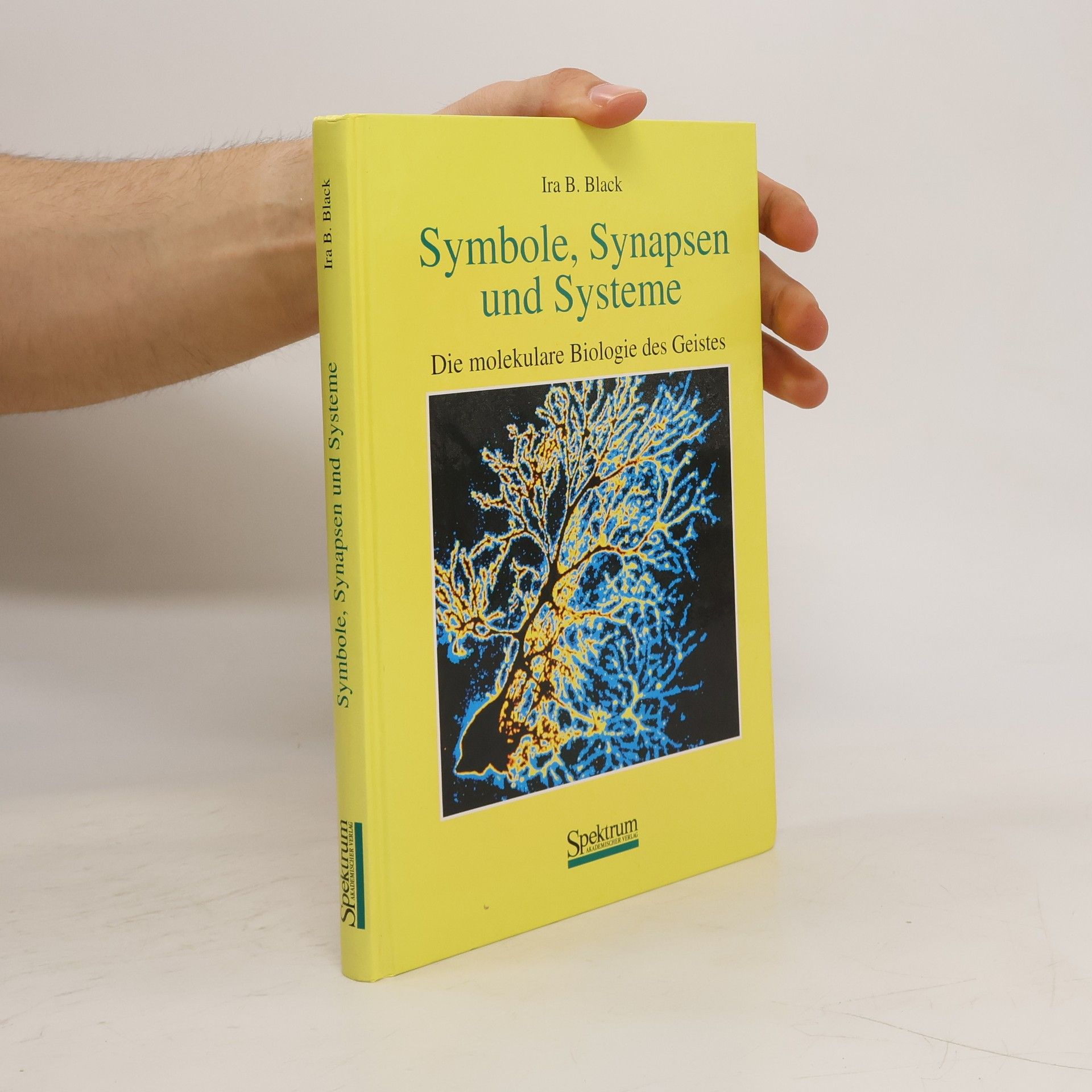 Ira B. Black Symbole, Synapsen und Systeme