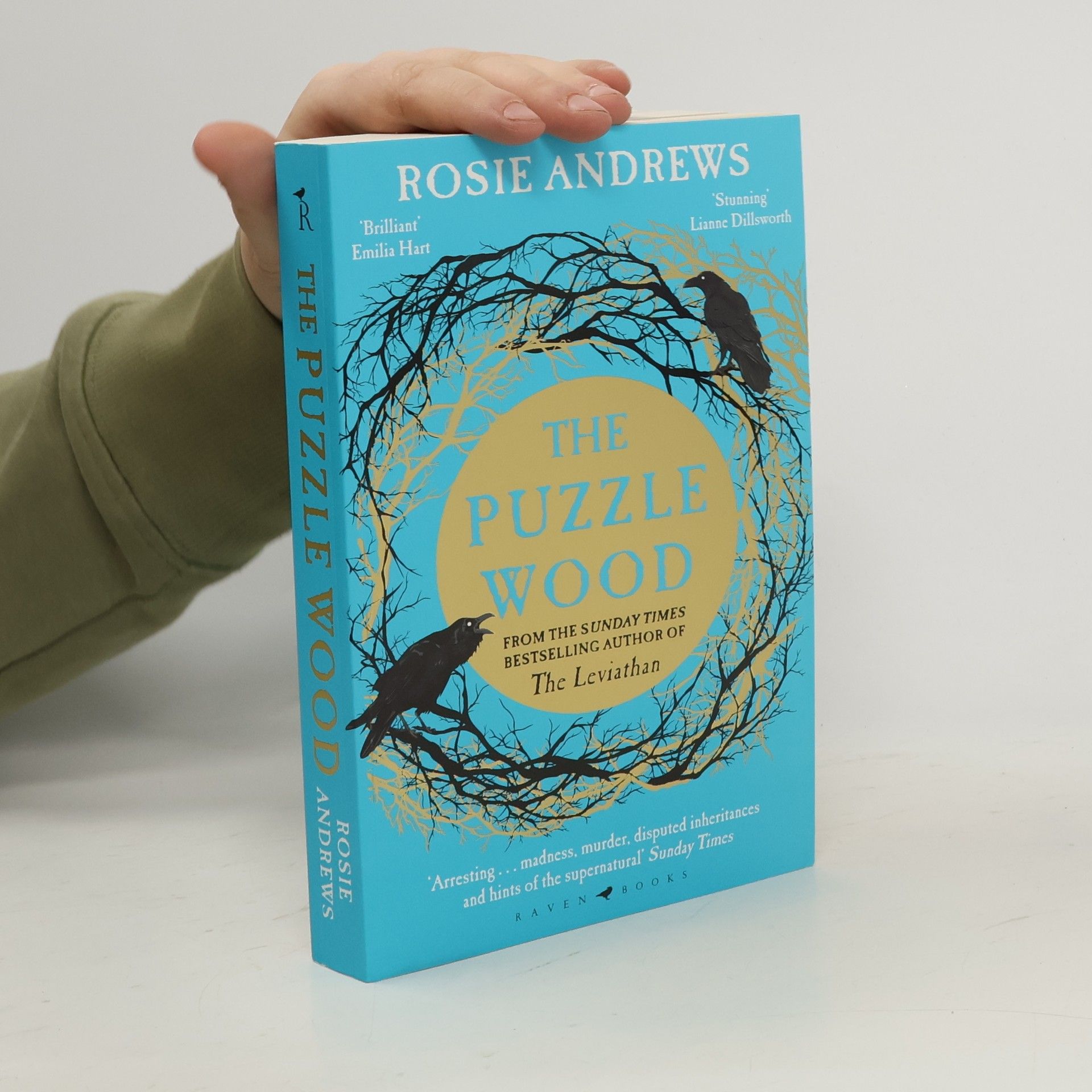 Rosie Andrews The Puzzle Wood