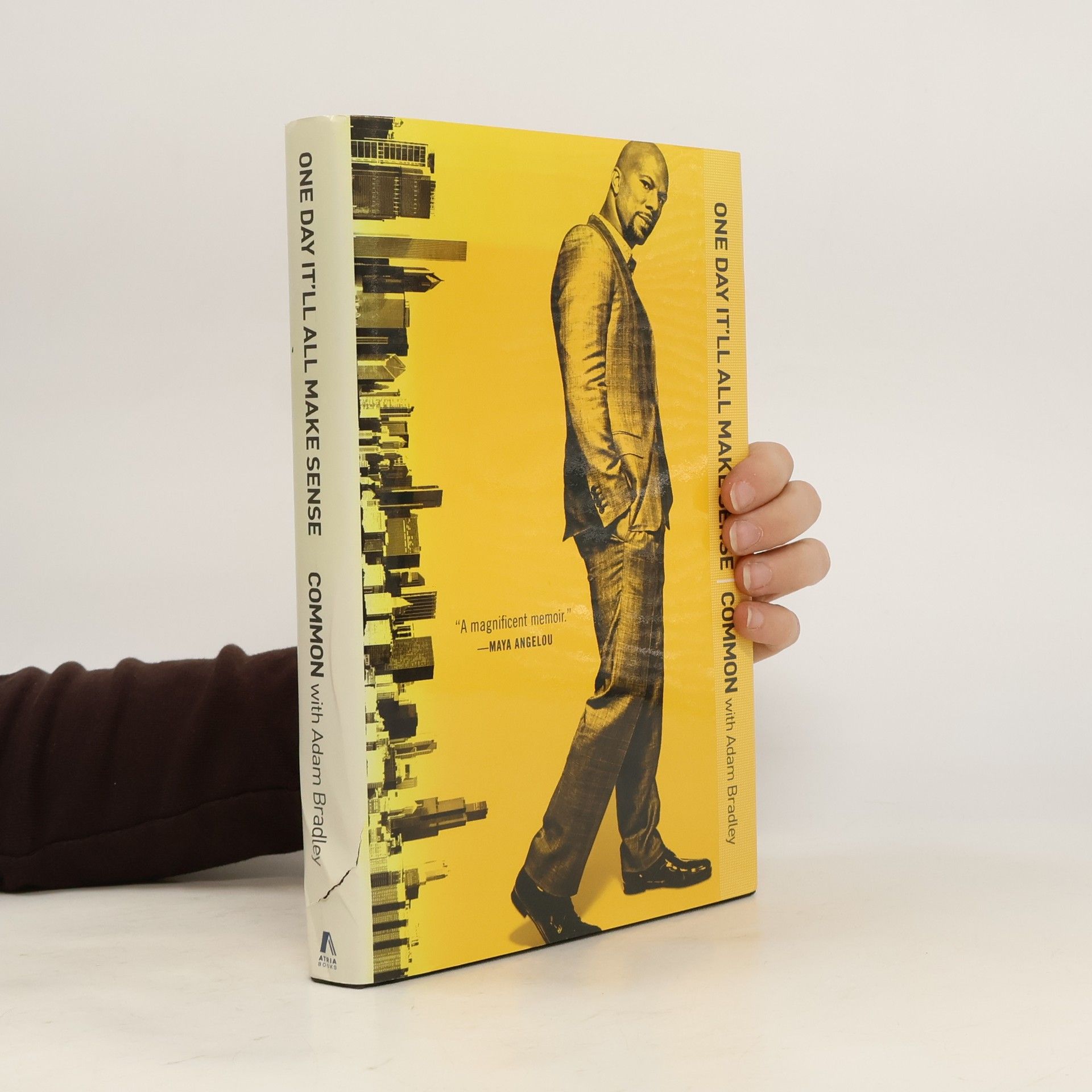 Collectif d'auteurs One Day It'll All Make Sense