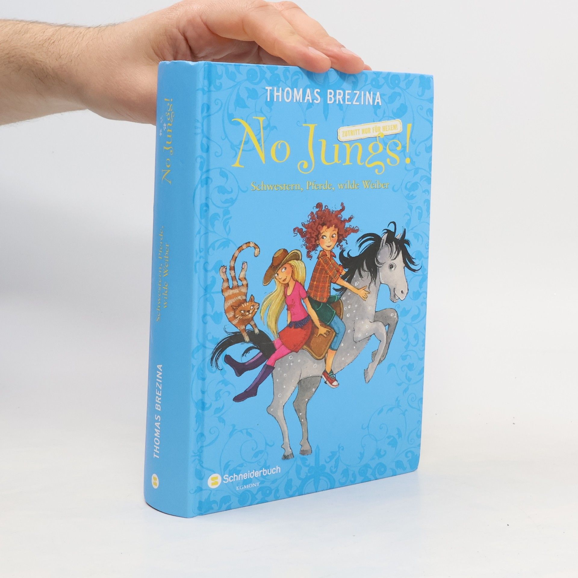 Thomas Brezina Schwestern, Pferde, wilde Weiber