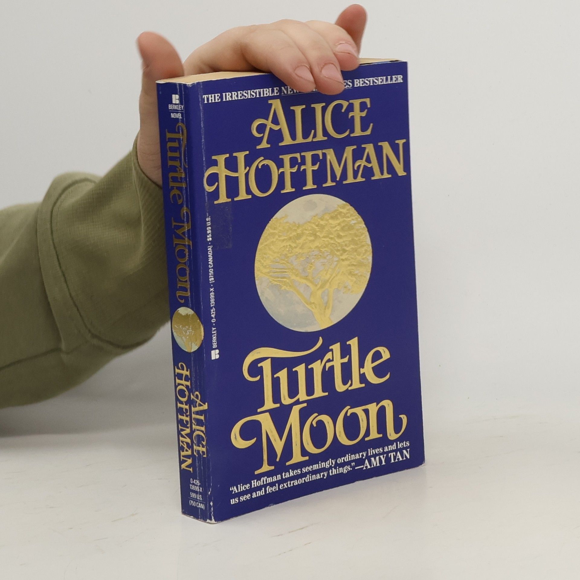Alice Hoffmann Turtle Moon