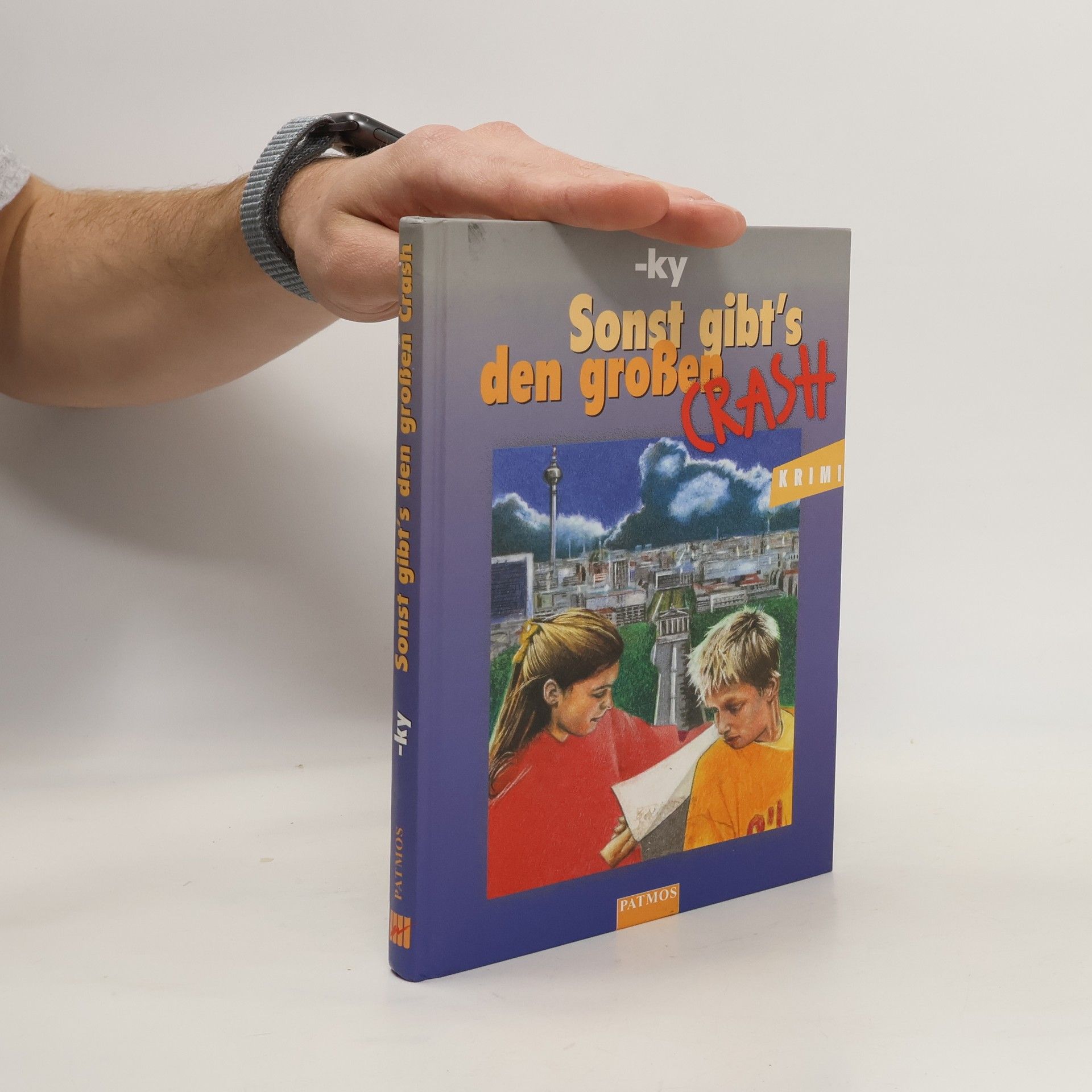 Horst Bosetzky Sonst gibt's den großen Crash!