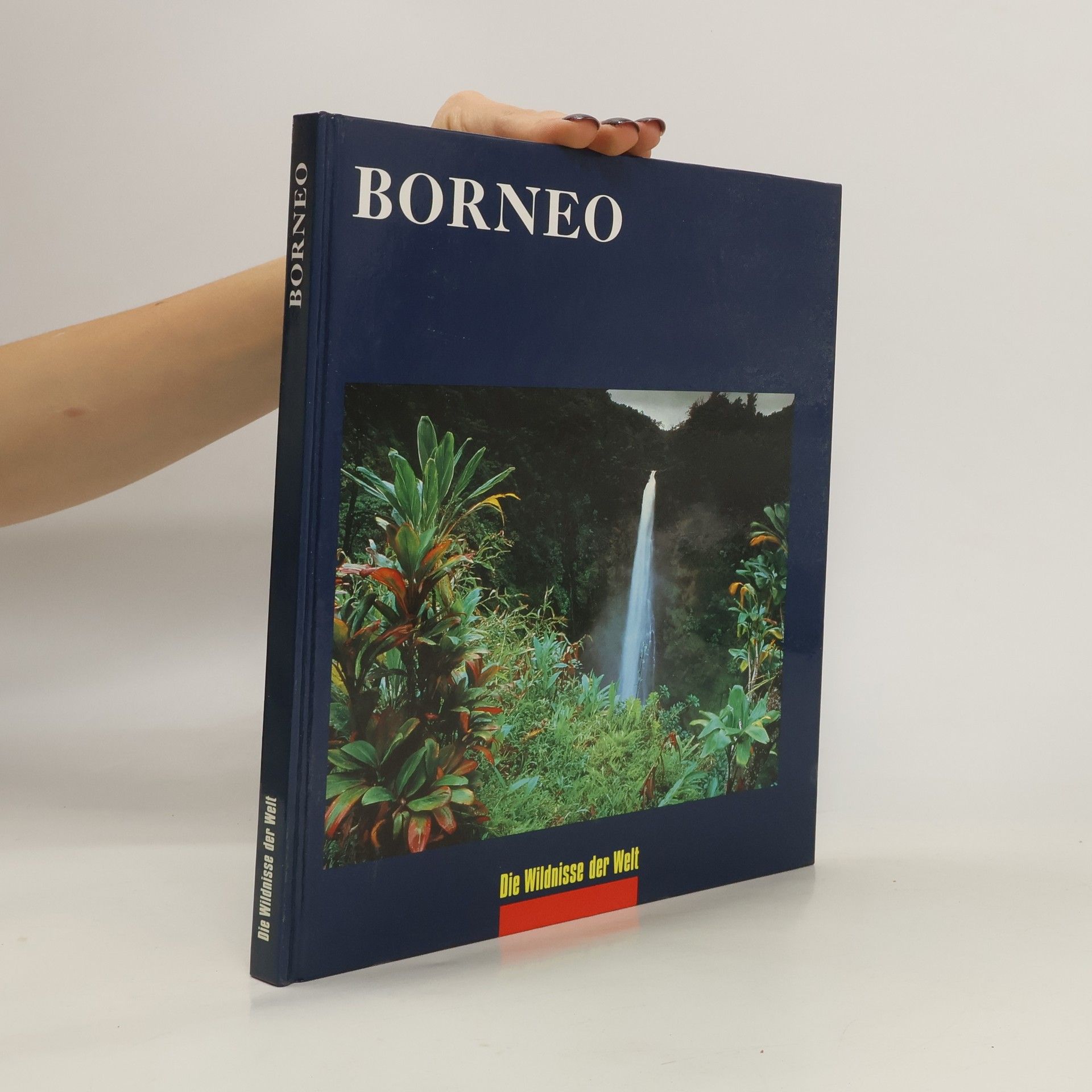 John Mackinnon Borneo. Die Wildnisse der Welt