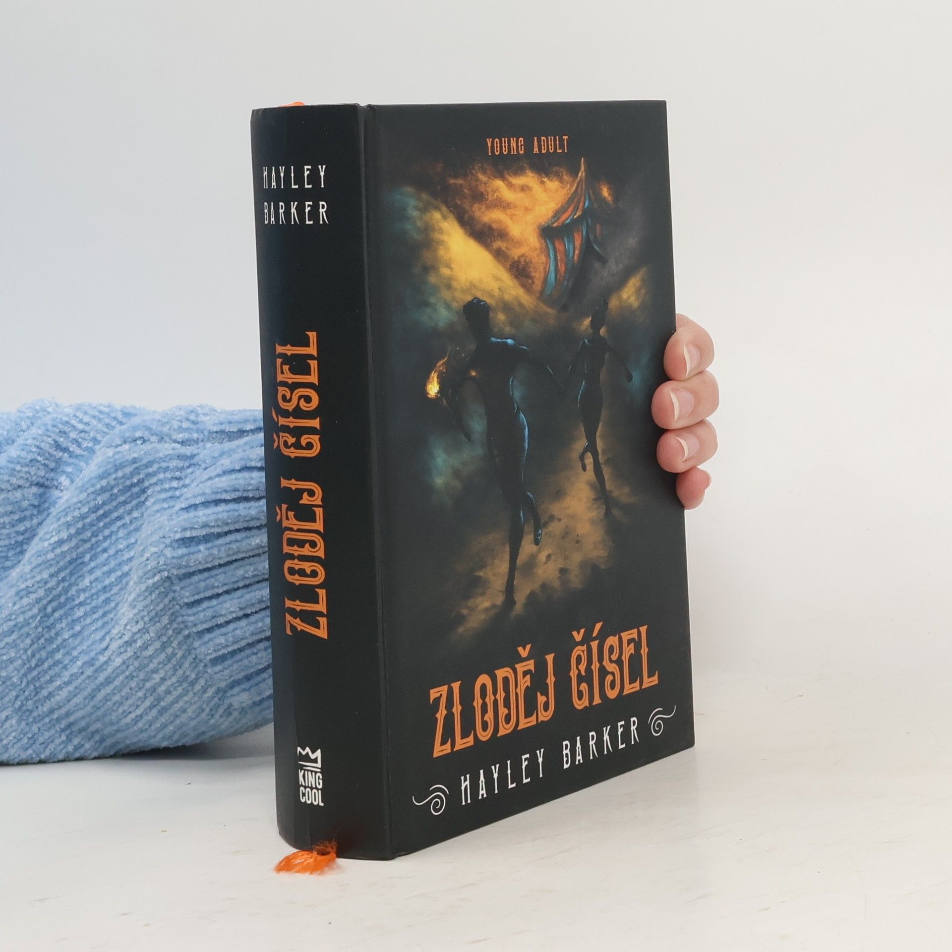 Hayley Barker Zloděj čísel