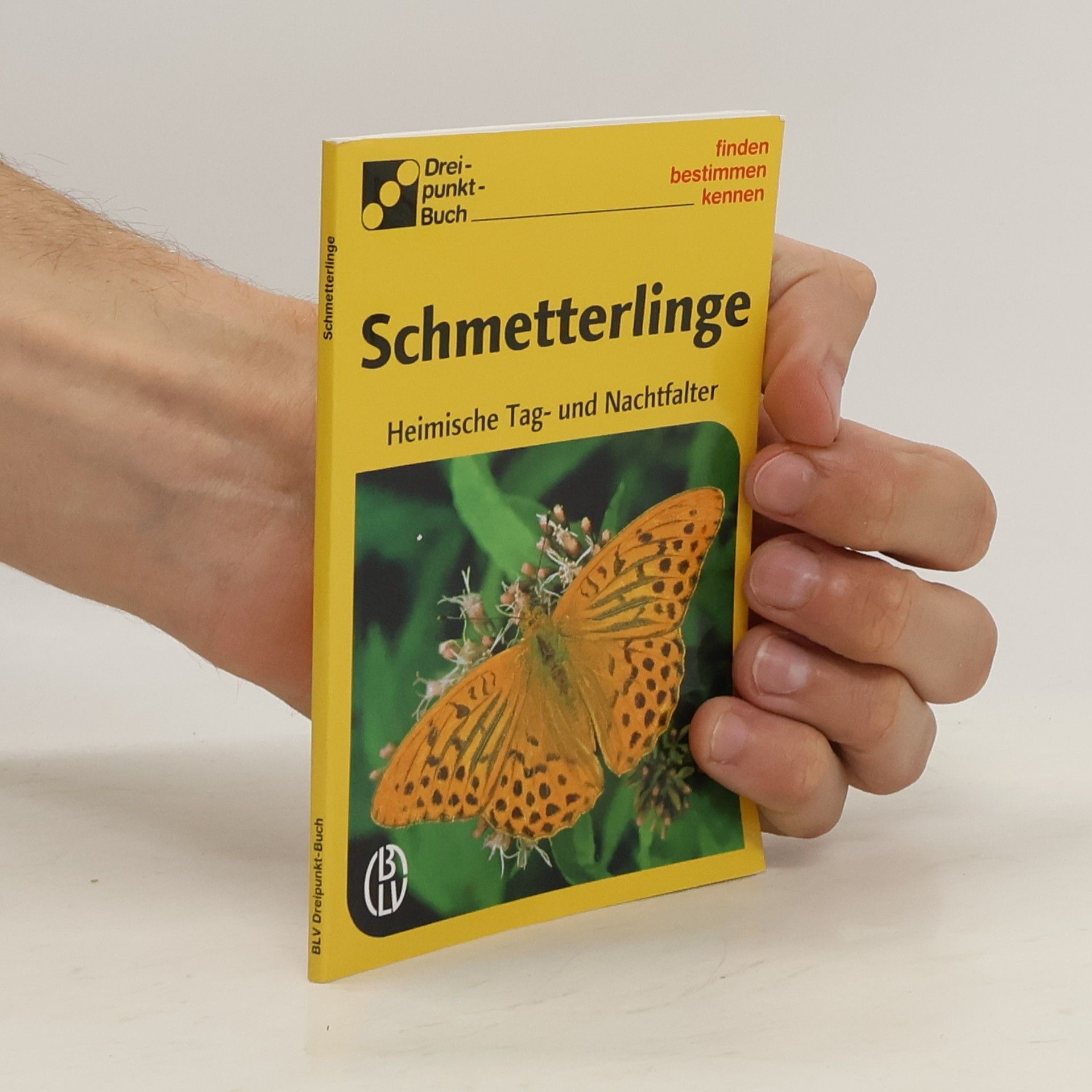 Autorenkollektiv Schmetterlinge