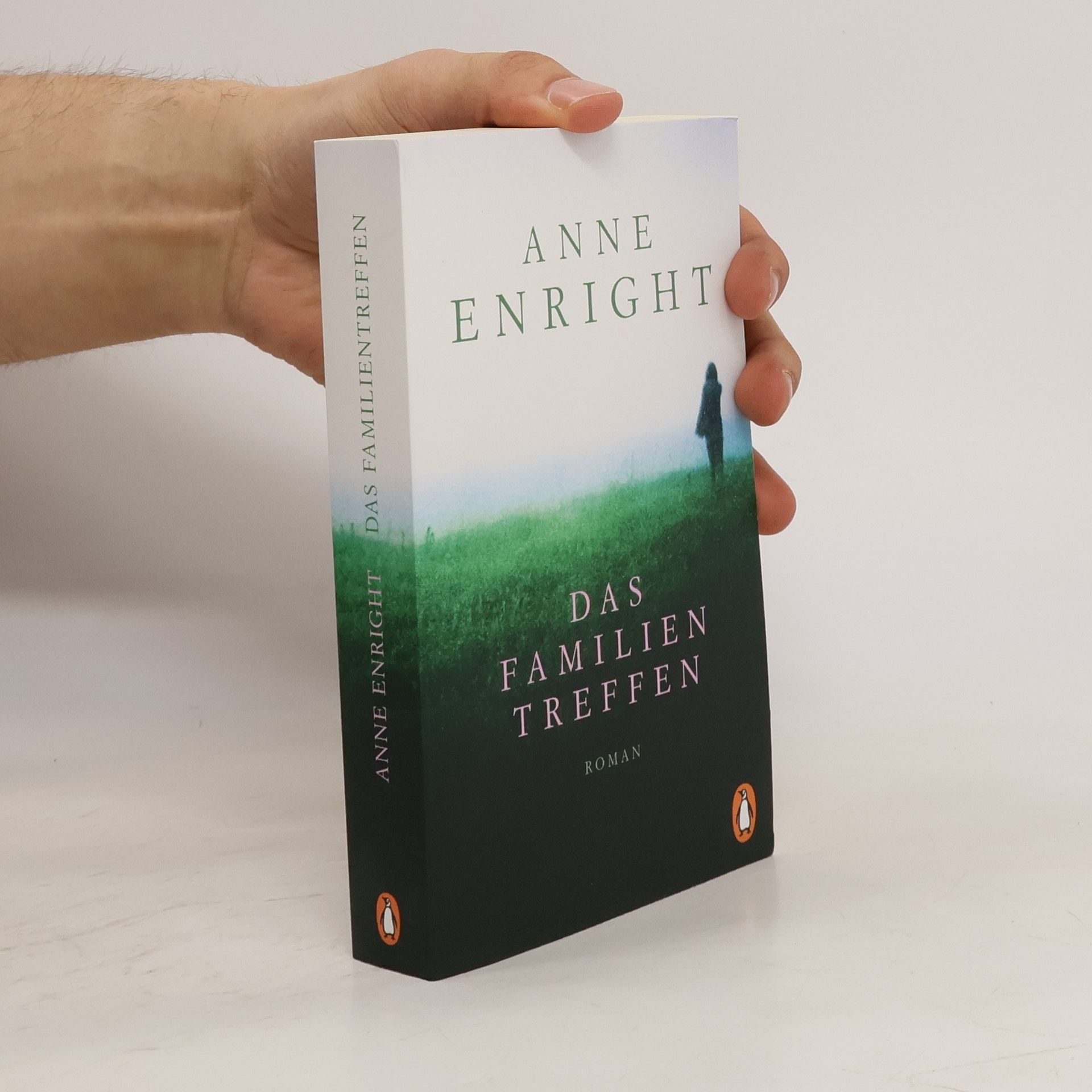 Anne Enright Das Familientreffen