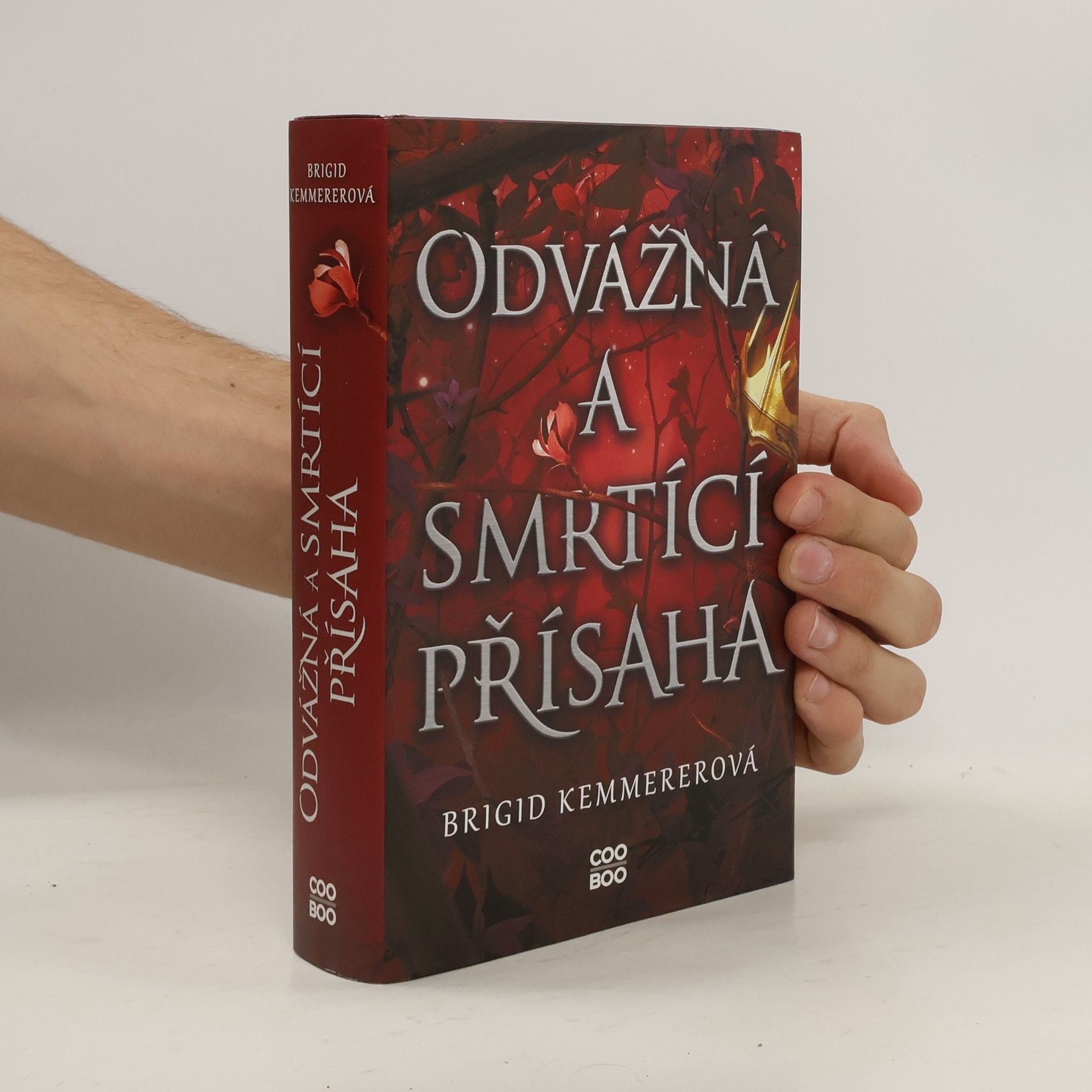 Brigid Kemmerer Odvážná a smrtící přísaha