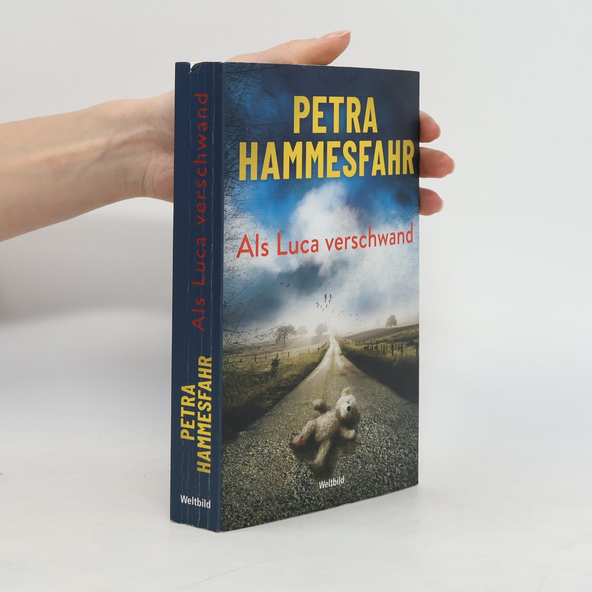 Petra Hammesfahr Als Luca verschwand
