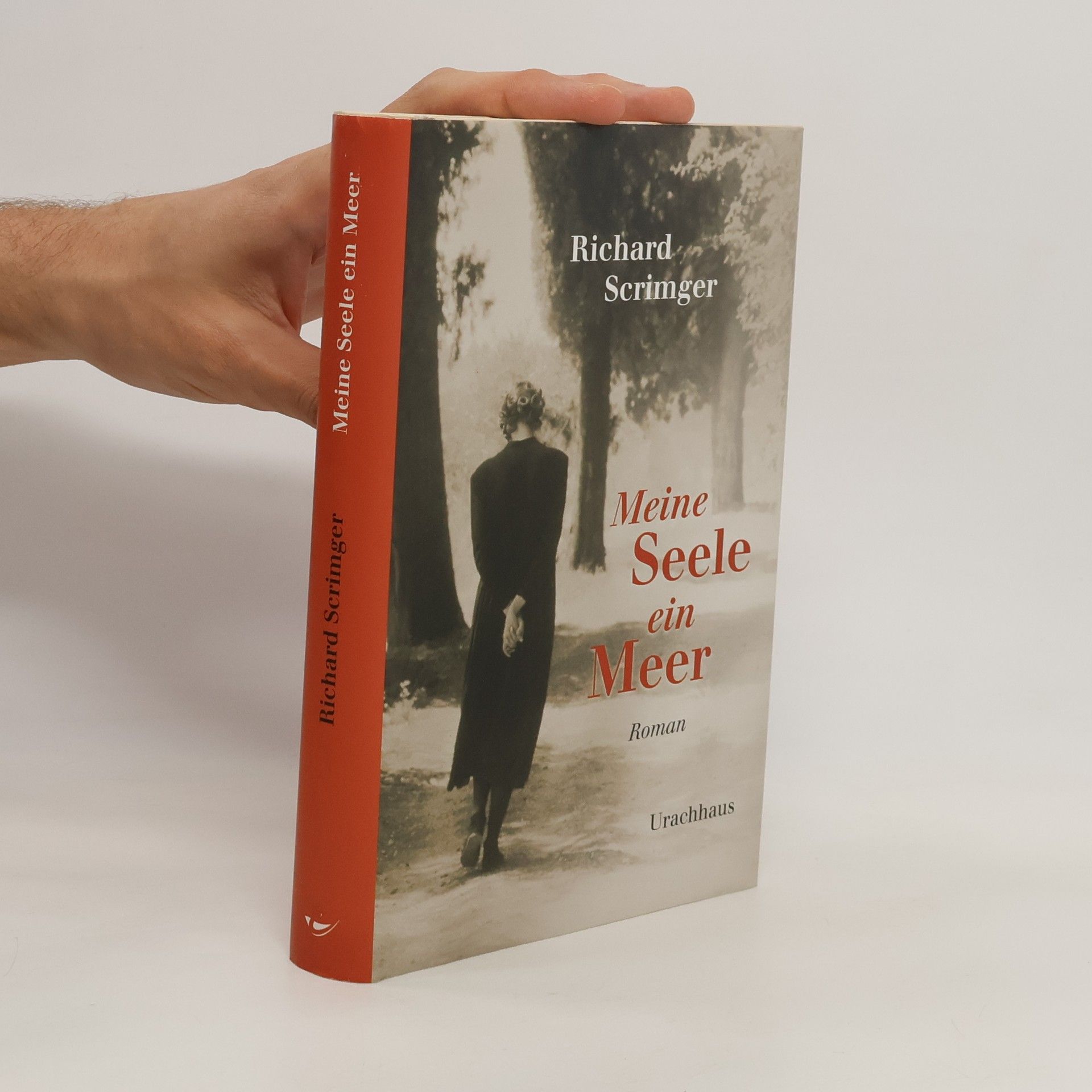 Richard Scrimger Meine Seele ein Meer