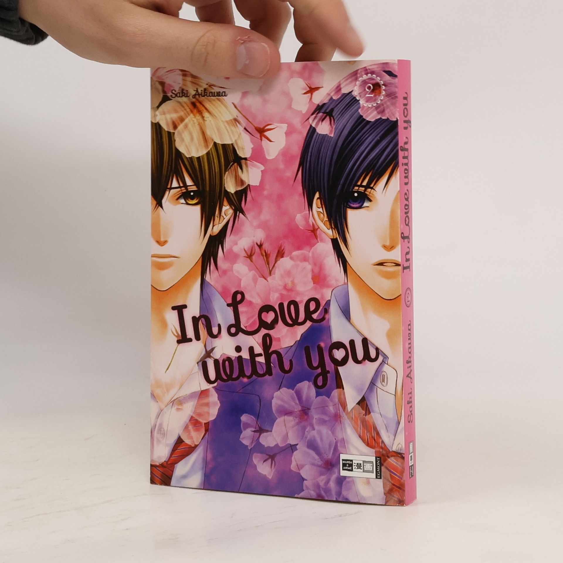 Saki Aikawa In love with you 2