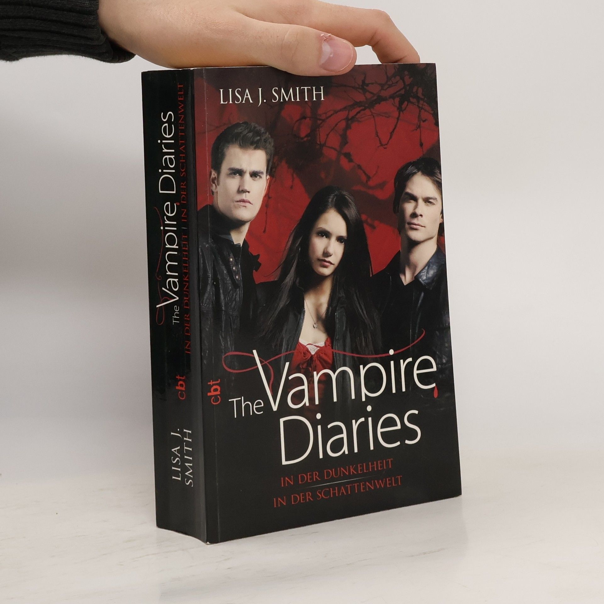 L. J. Smith The vampire diaries - In der Dunkelheit