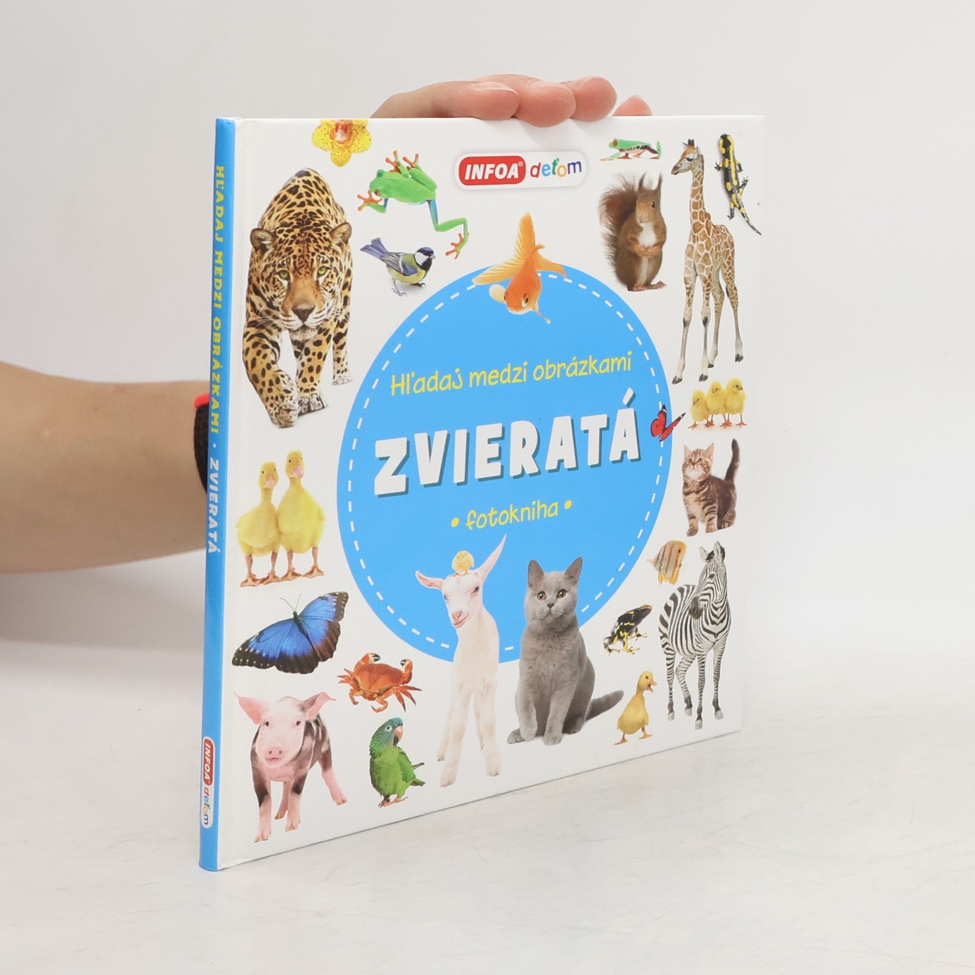 kolektiv Hľadaj medzi obrázkami zvieratá