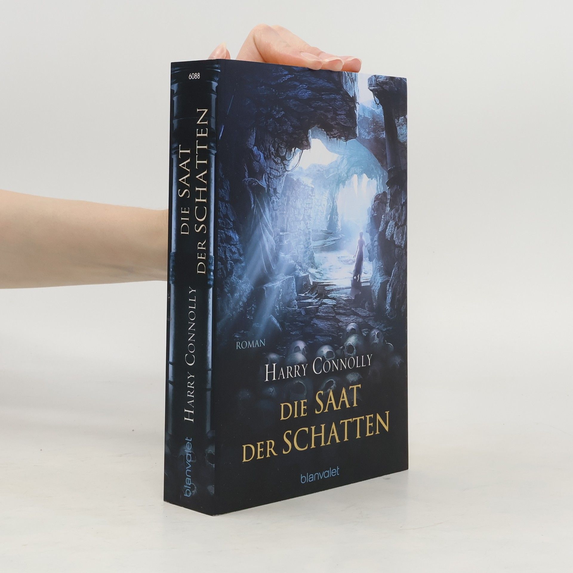 Harry Connolly Die Saat der Schatten