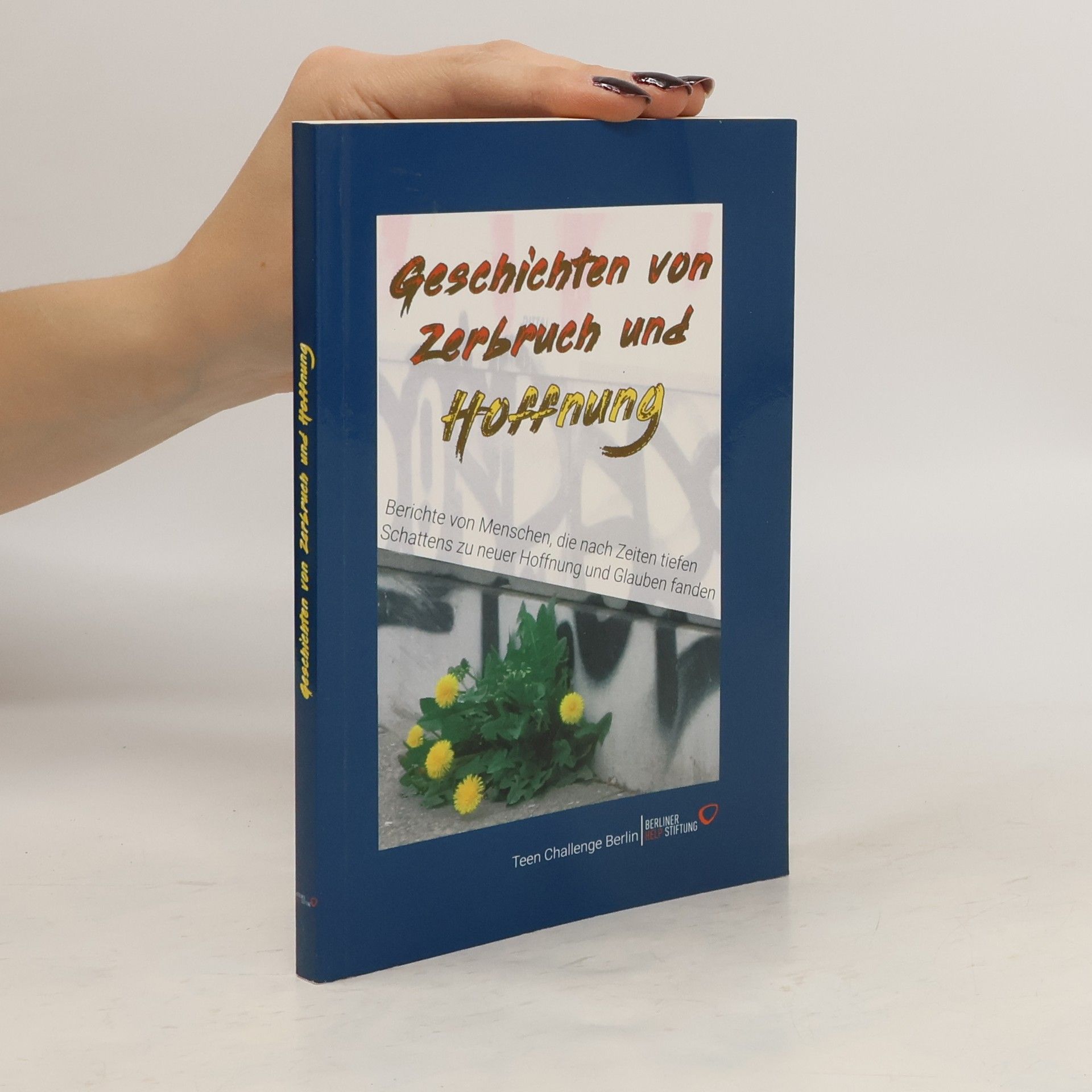kolektiv Geschichten von Zerbruch und Hoffnung
