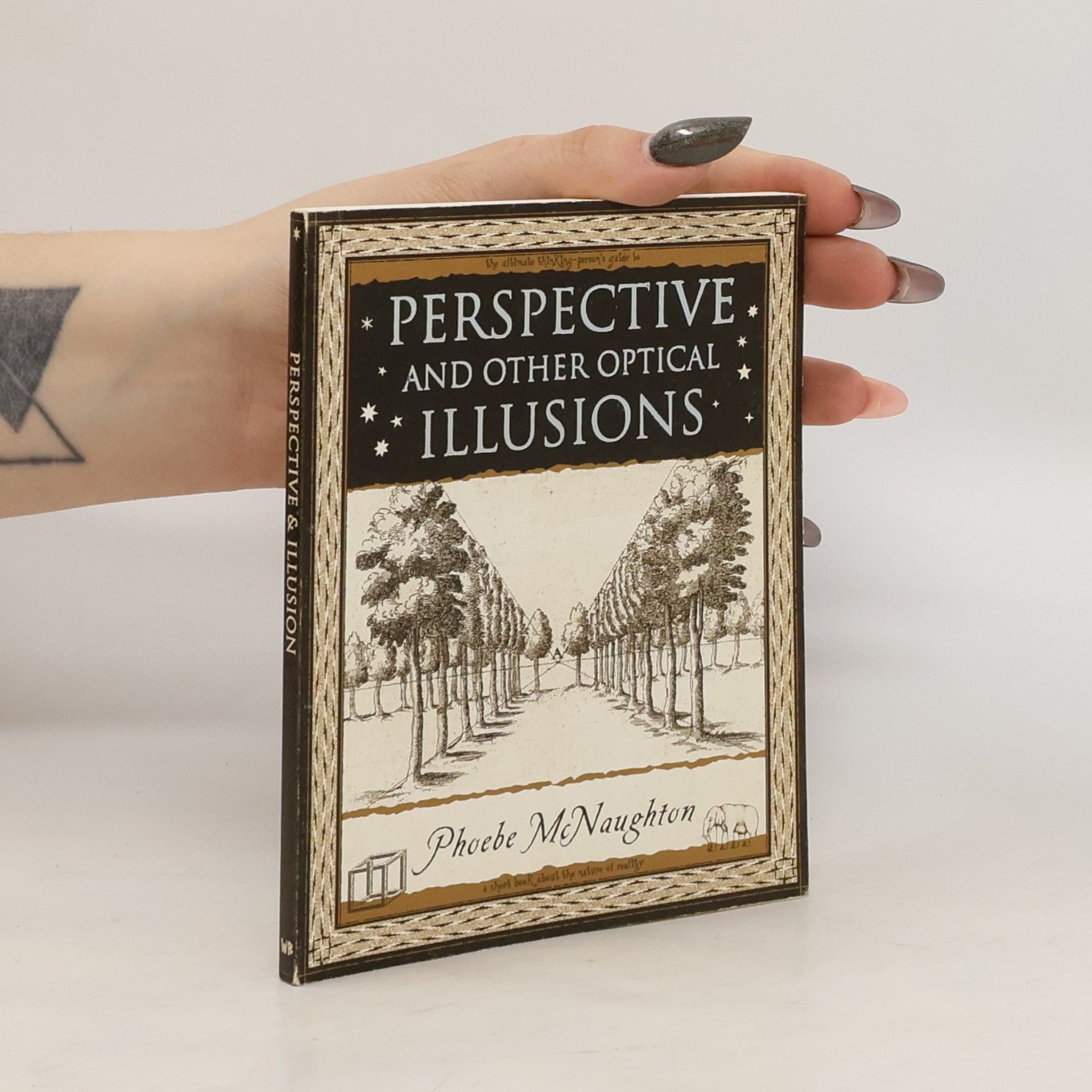 Phoebe McNaughton Perspective and Other Optical Illusions