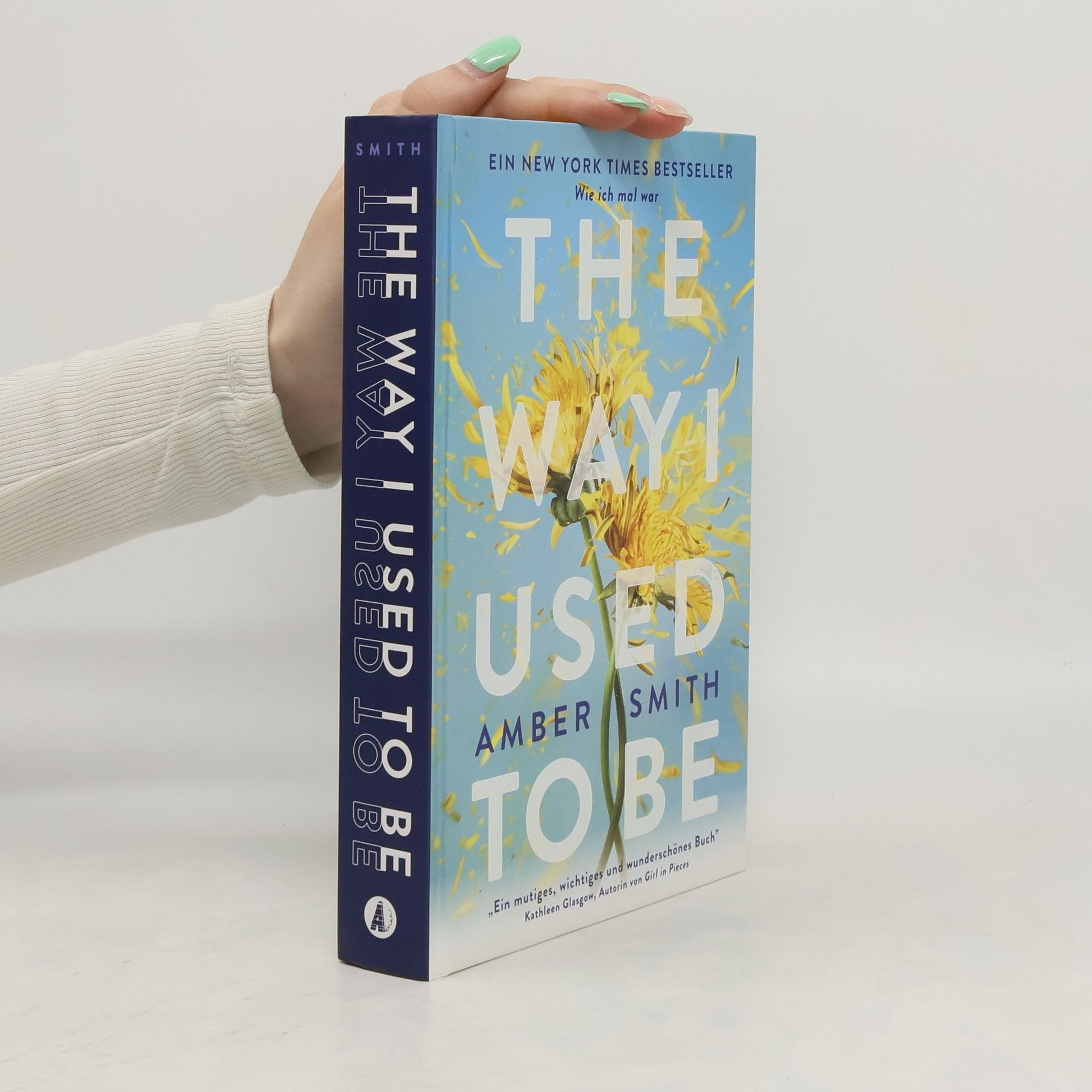 Amber Smith Wie ich mal war. The Way I Used to Be