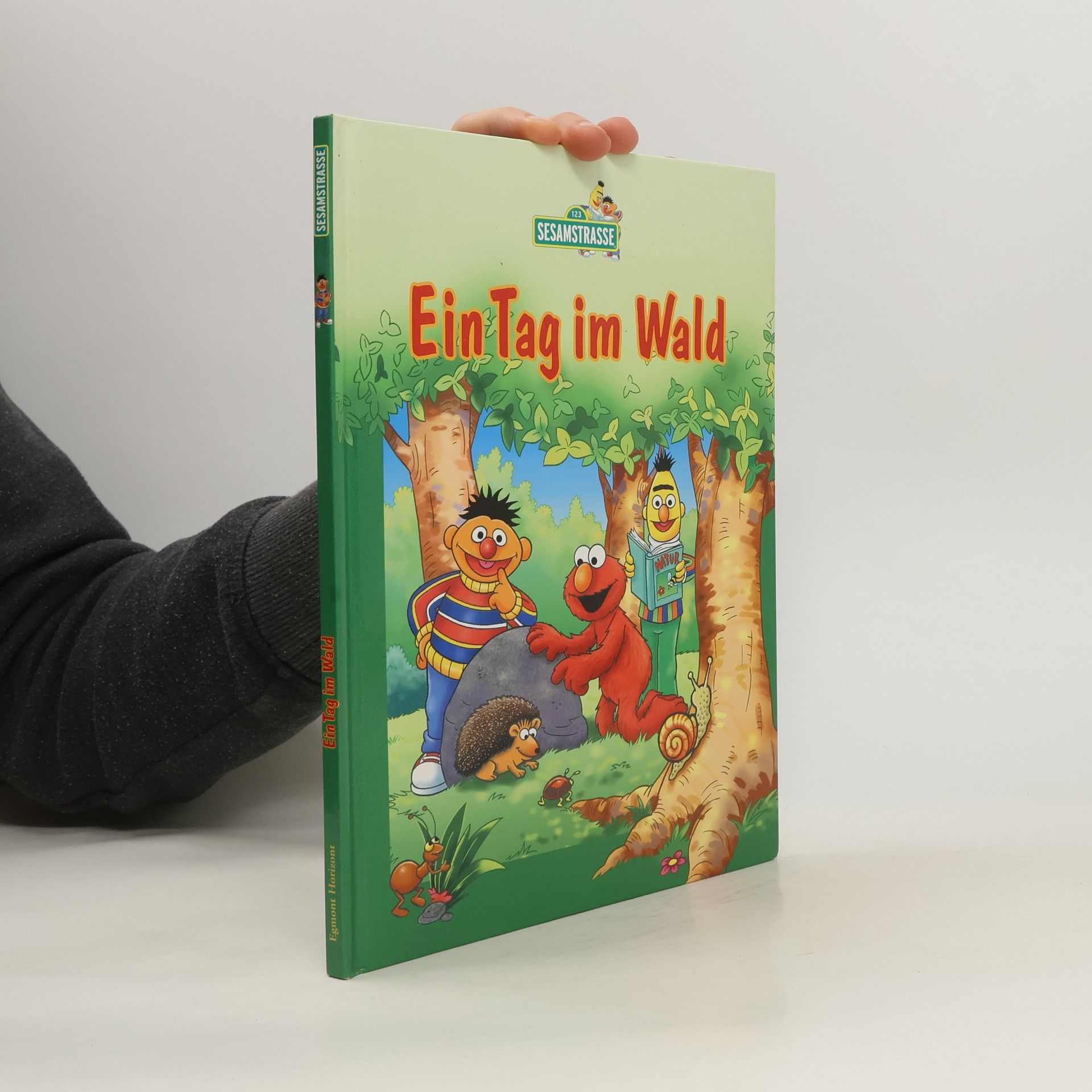 kolektiv Ein Tag im Wald
