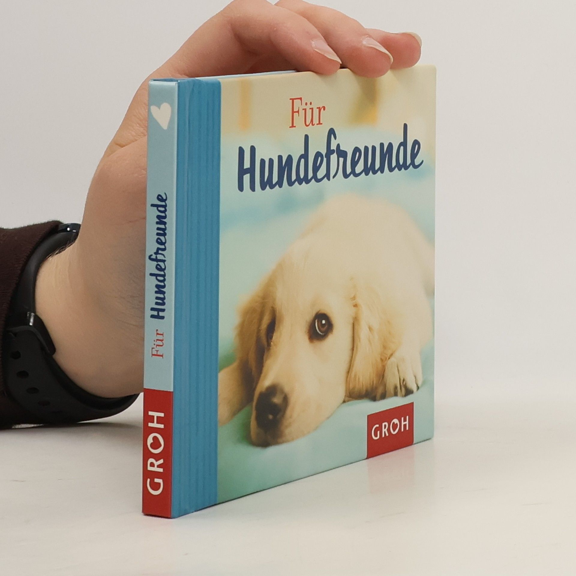 kolektiv Für Hundefreunde