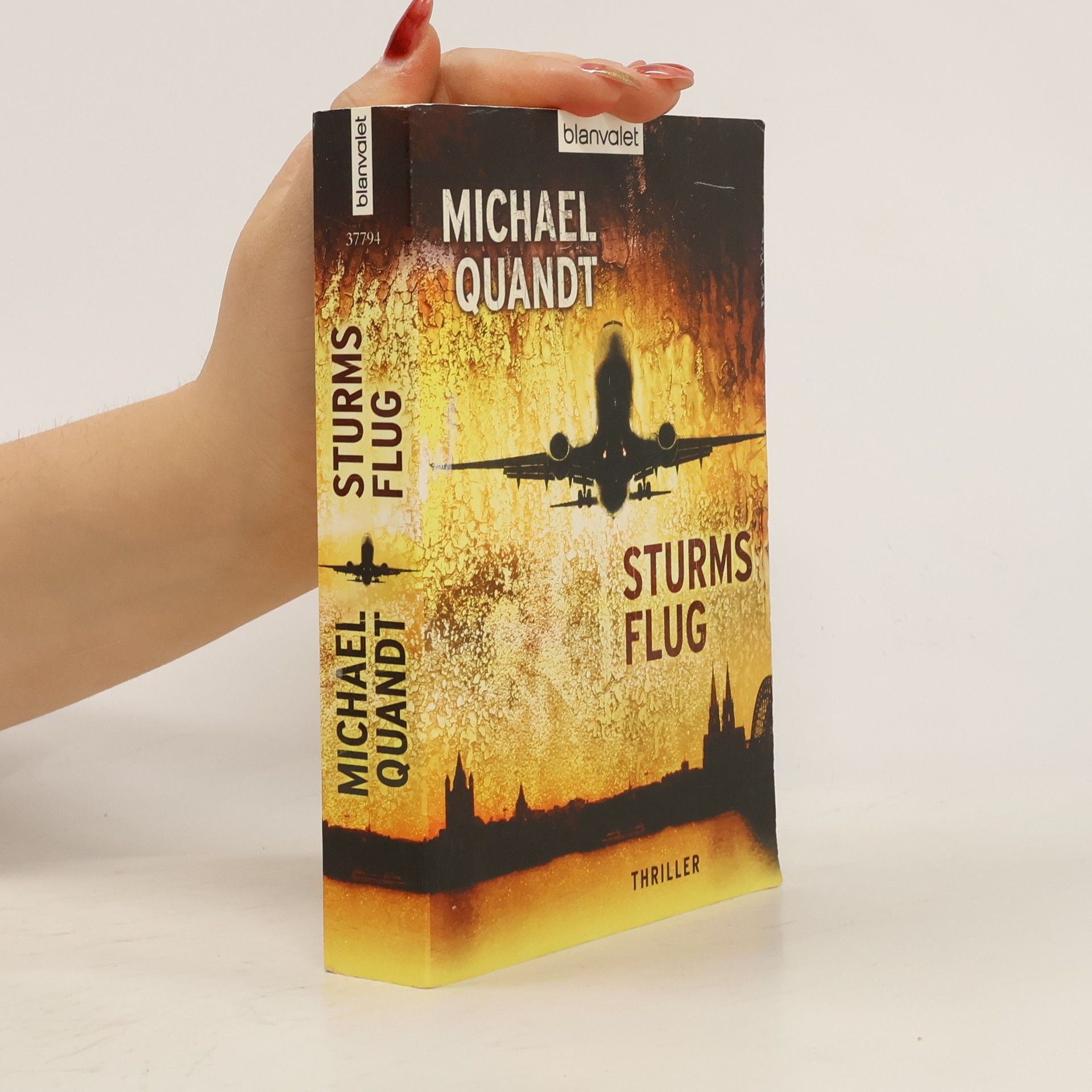 Michael Quandt Sturms Flug
