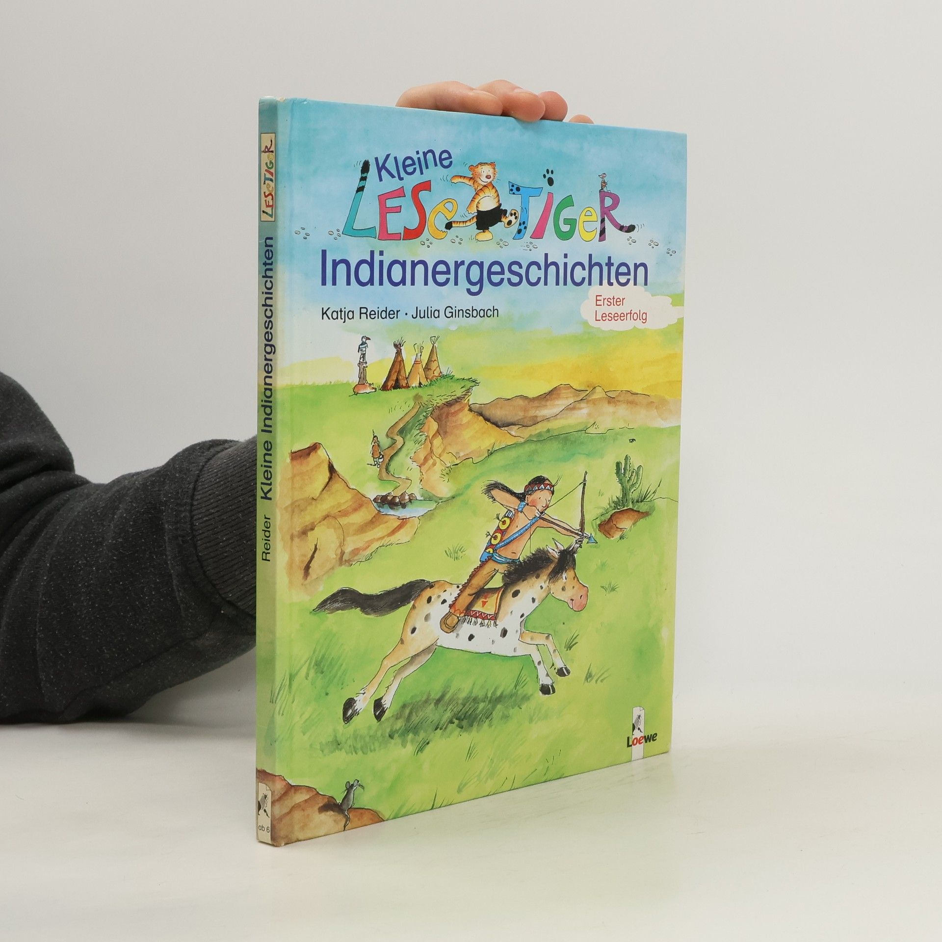 Katja Reider Kleine Lesetiger-Indianergeschichten