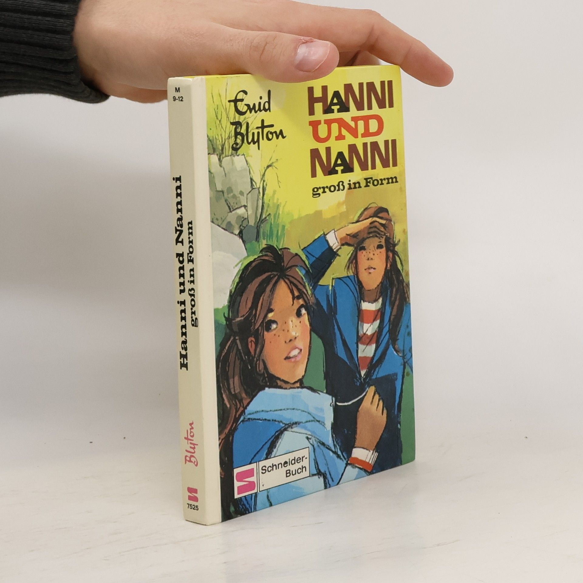 Enid Blyton Hanni und Nanni gross in Form