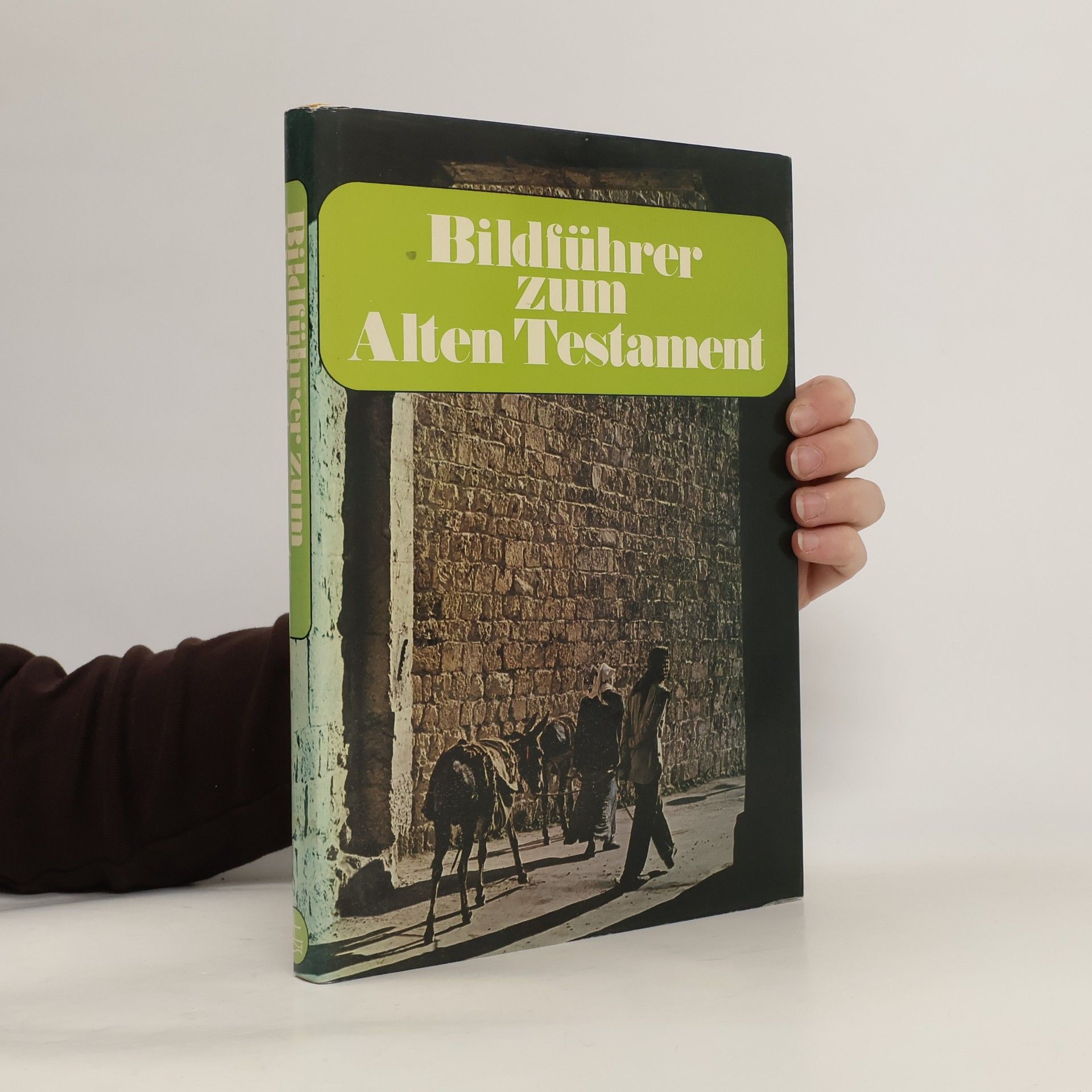 David Alexander Bildführer zum Alten Testament