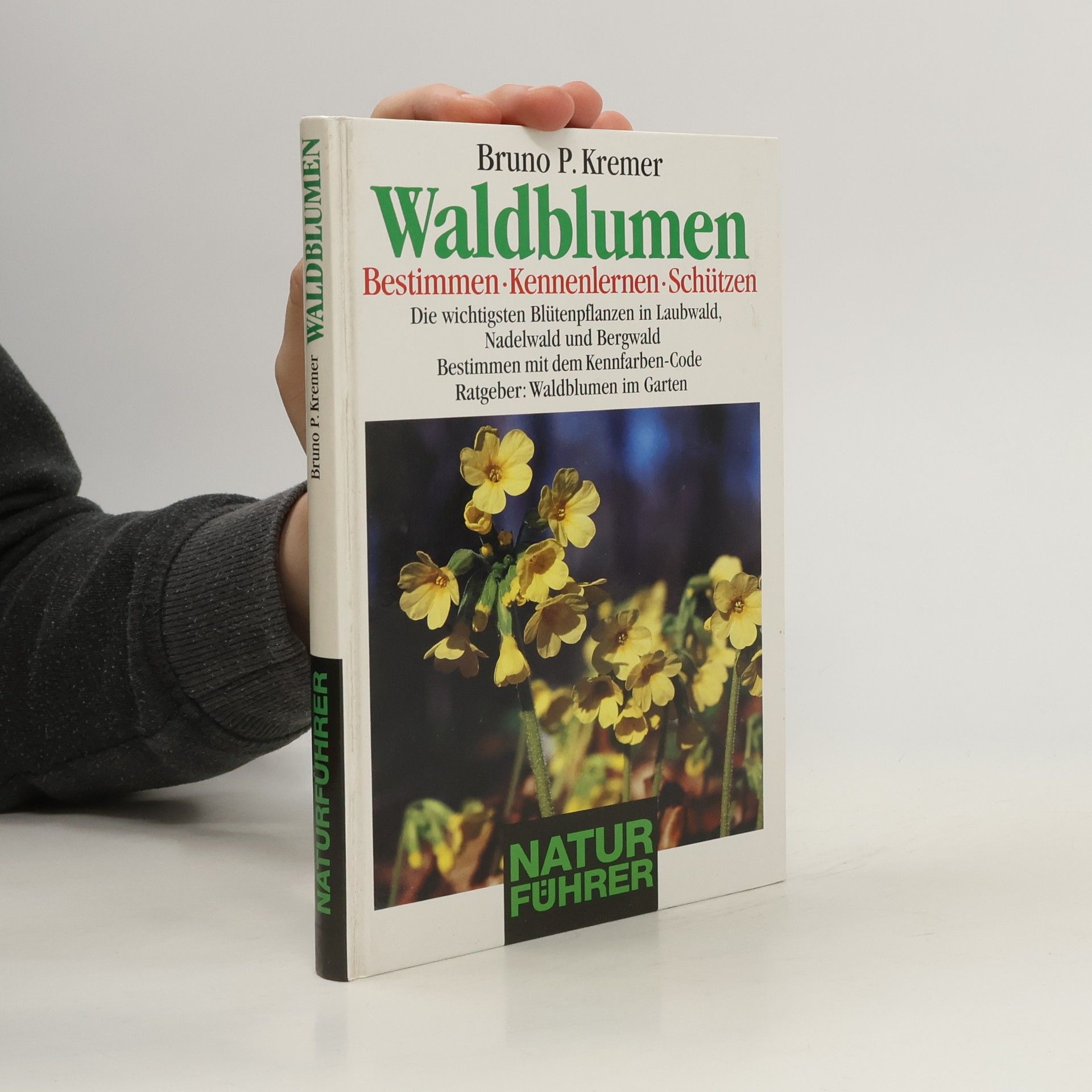 Bruno P. Kremer Waldblumen