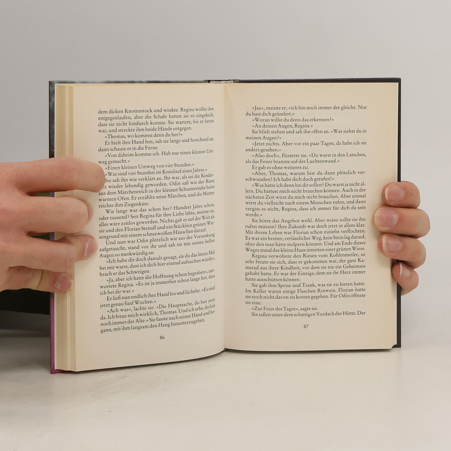 Hans Ernst Wind über hohen Bergen