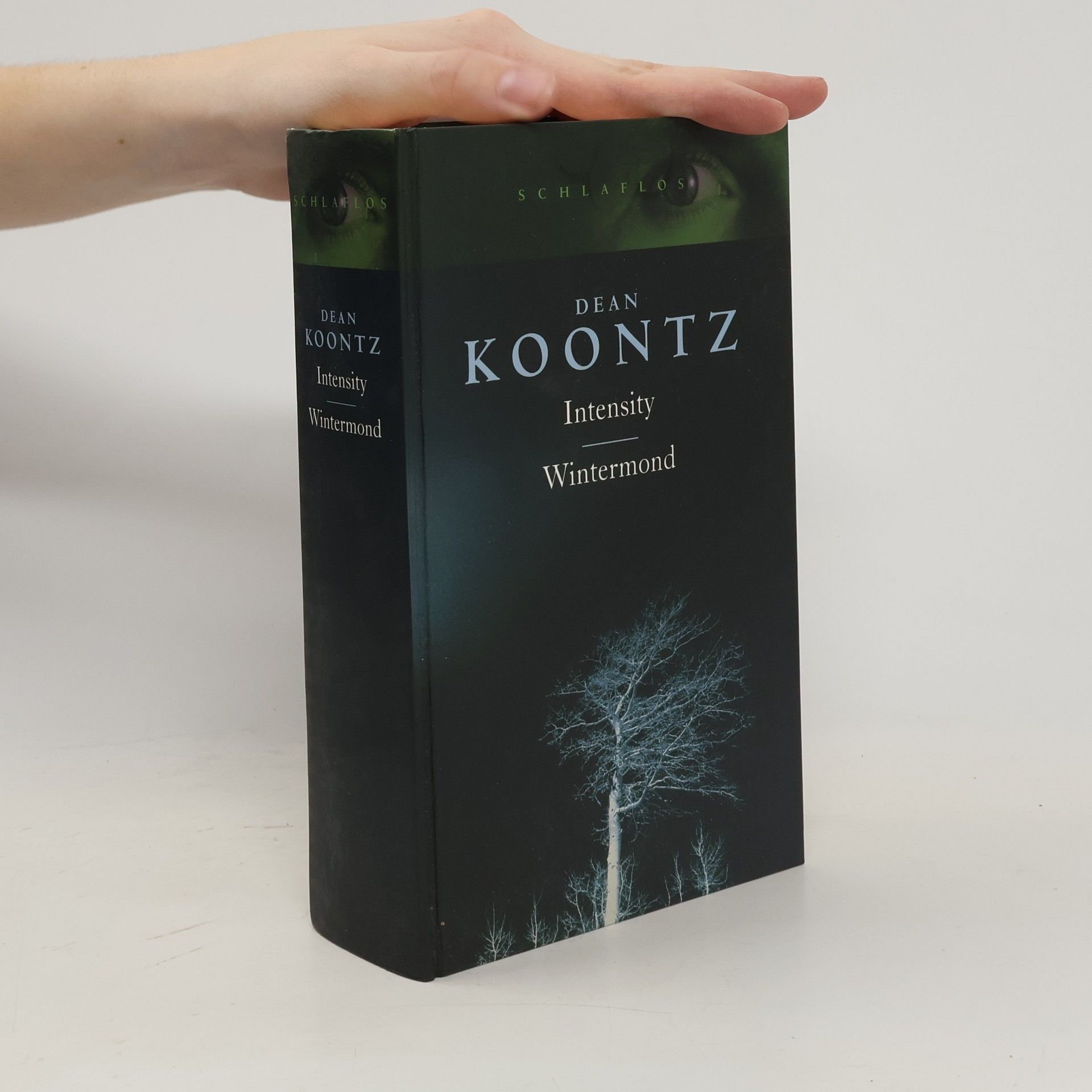 Dean R. Koontz Intensity / Wintermond