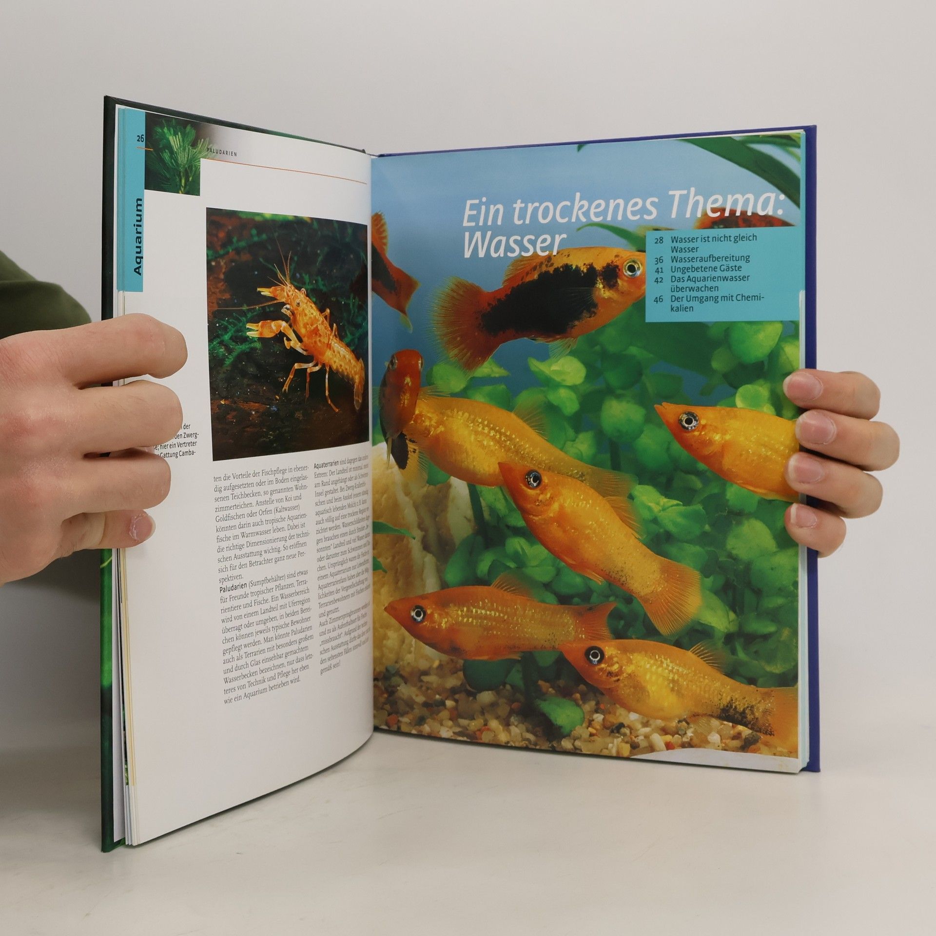 Stephan Dreyer Das neue Kosmos-Buch der Aquaristik
