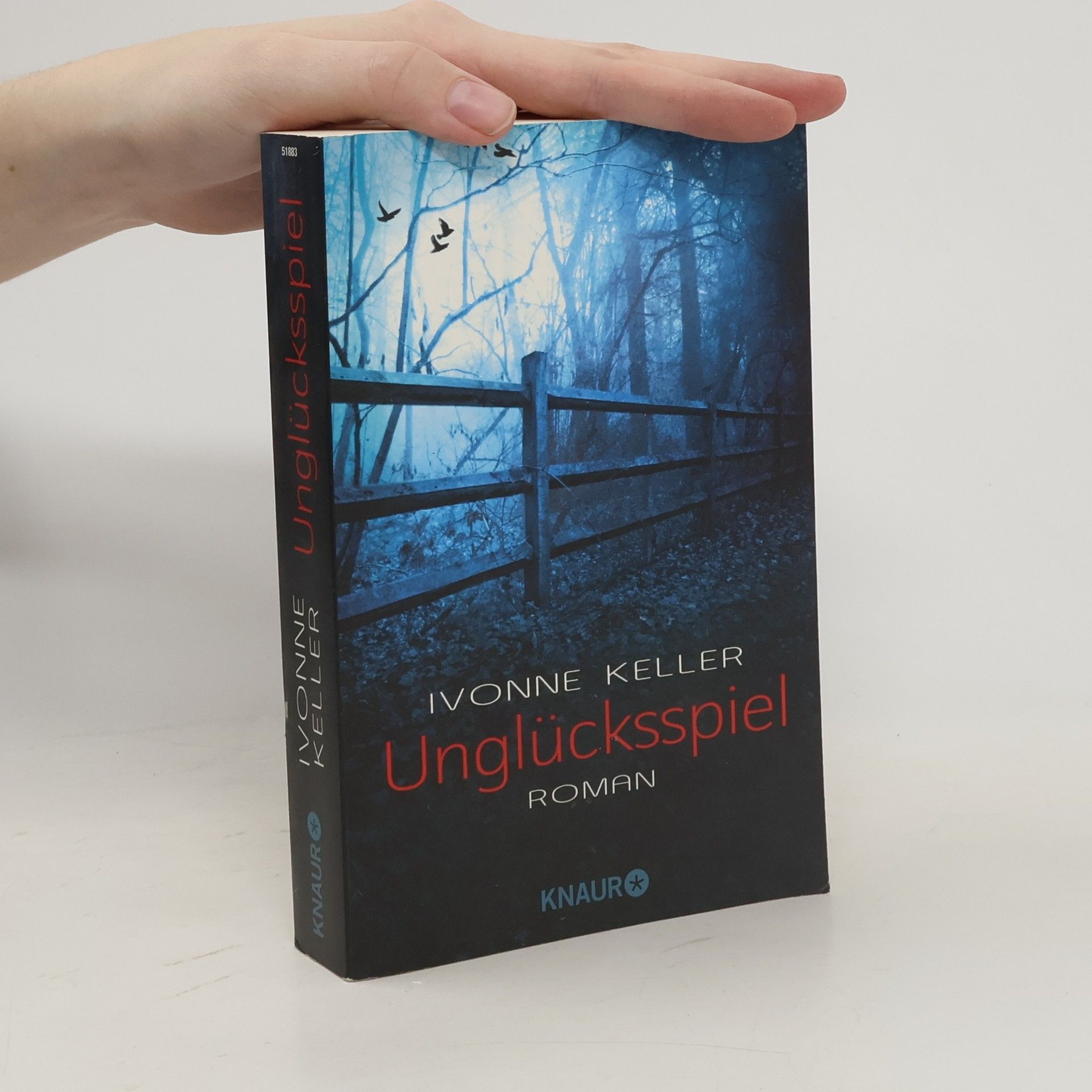 Ivonne Keller Unglücksspiel